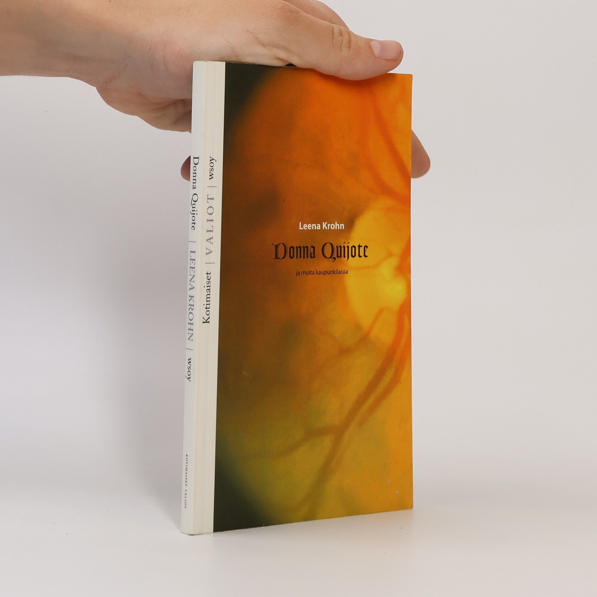 Leena Krohn Donna Quijote ja muita kaupunkilaisia