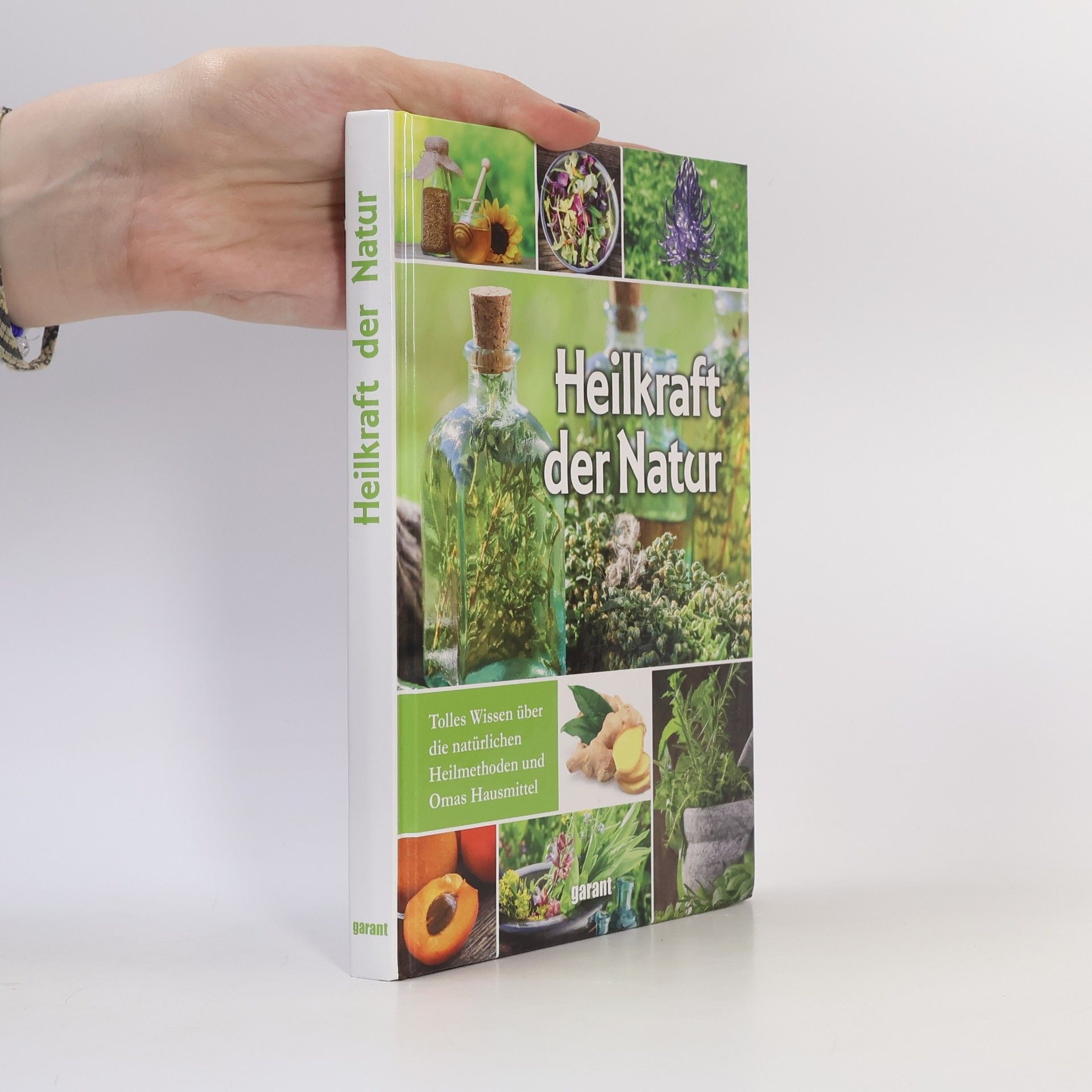 Susanne Lamprecht Heilkraft der Natur