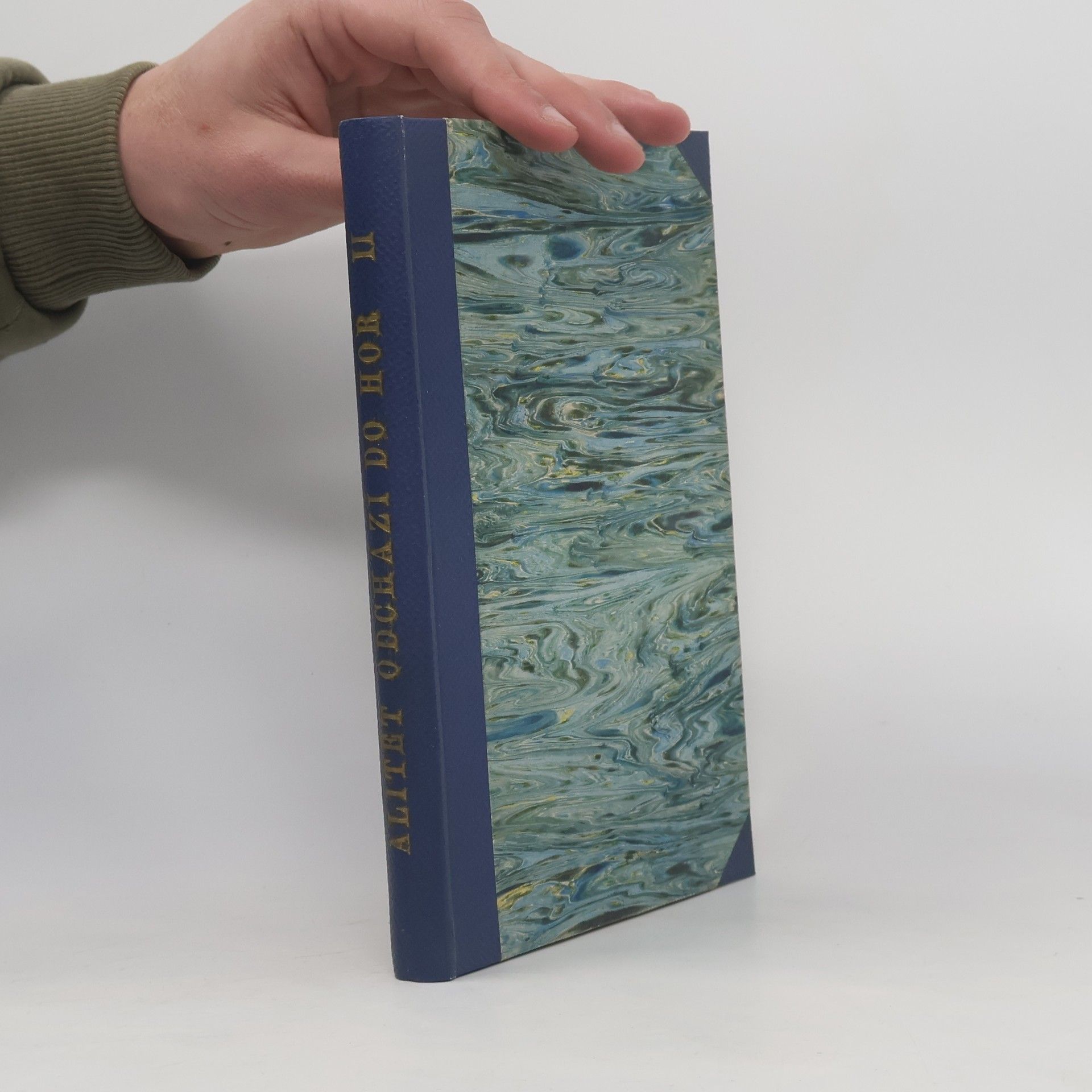 Alitět odchází do hor II