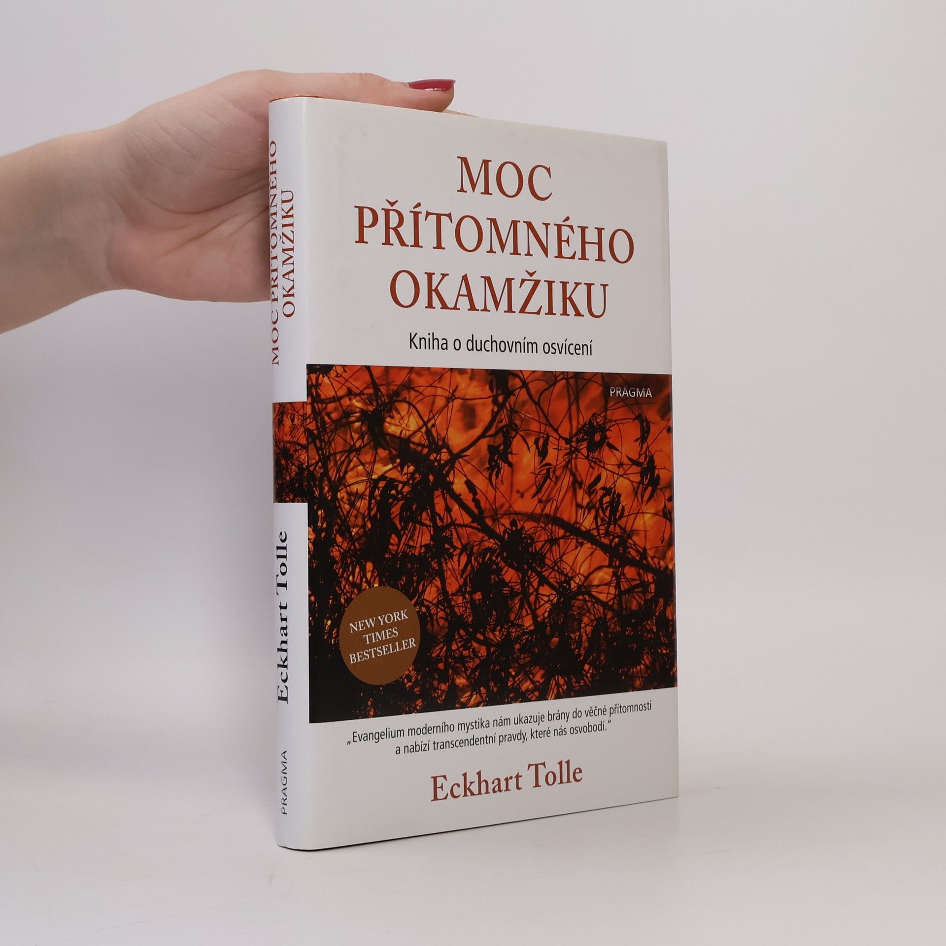 Eckhart Tolle Moc přítomného okamžiku