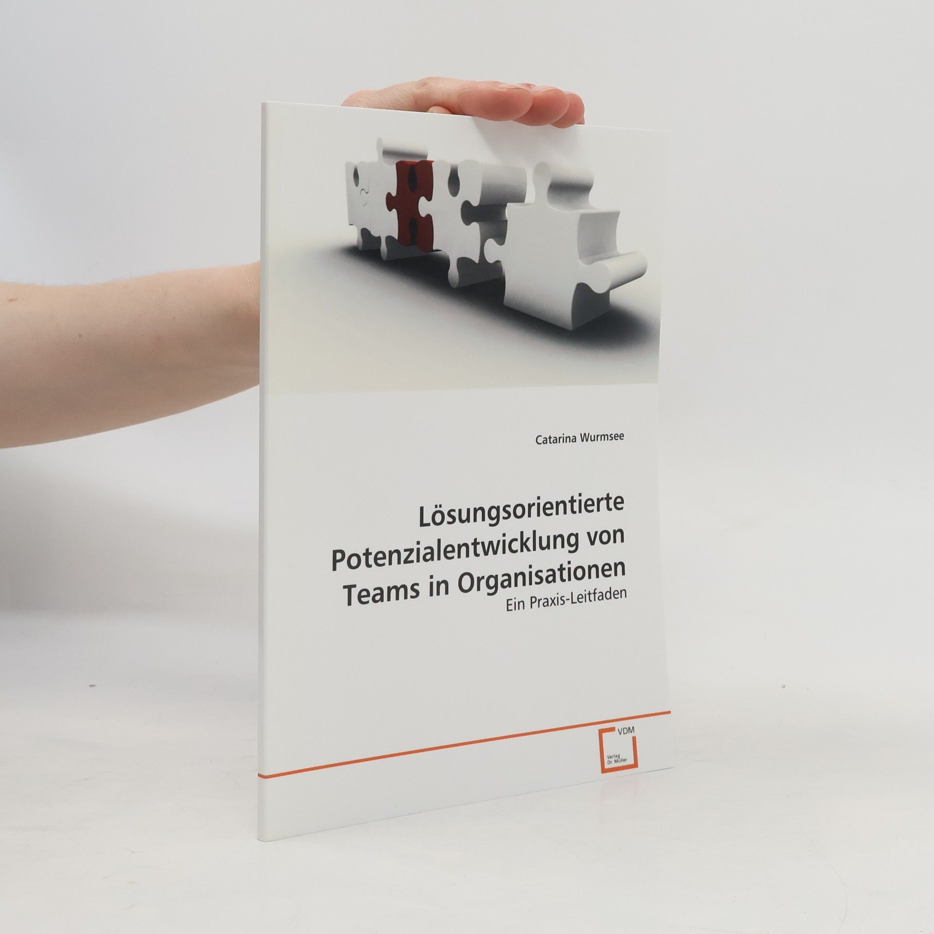 Catarina Wurmsee Lösungsorientierte Potenzialentwicklung von Teams in Organisationen