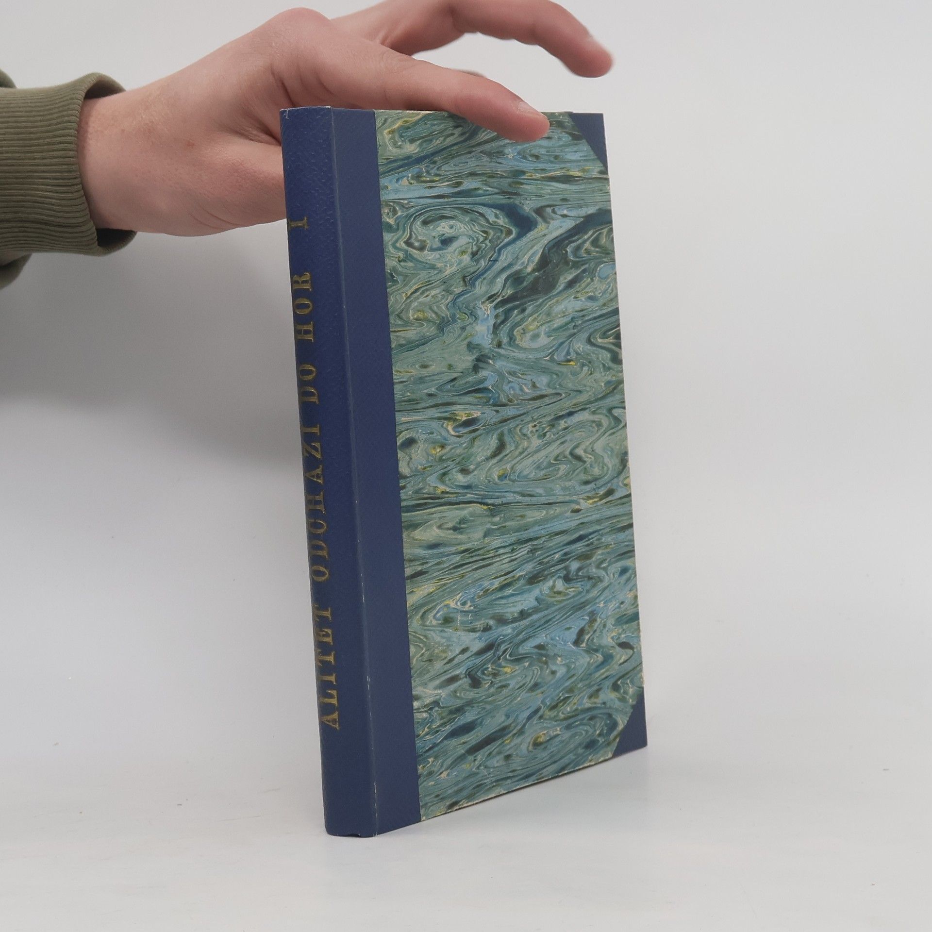 Alitět odchází do hor I