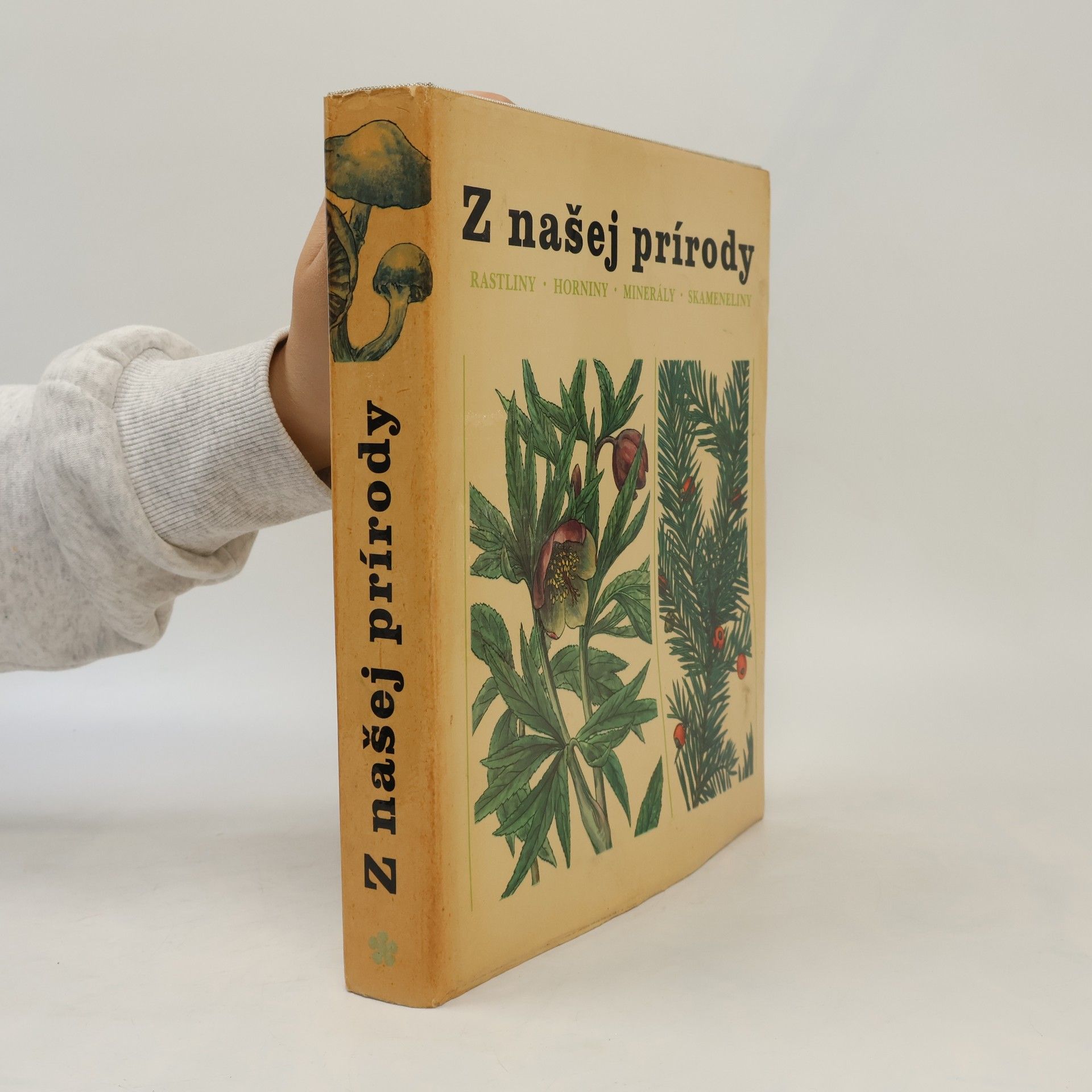 Jindřich Krejča Z našej prírody