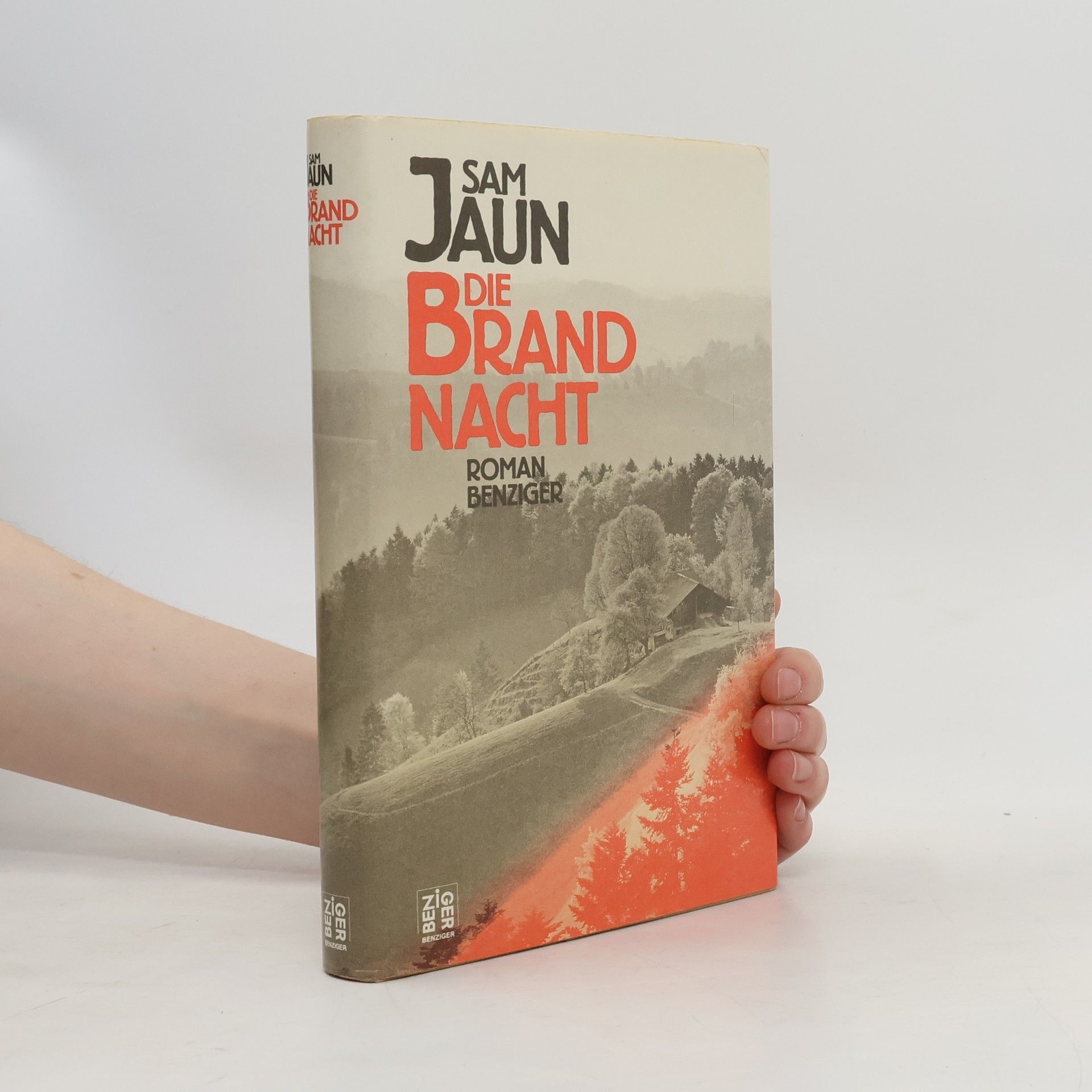 Sam Jaun Die Brandnacht