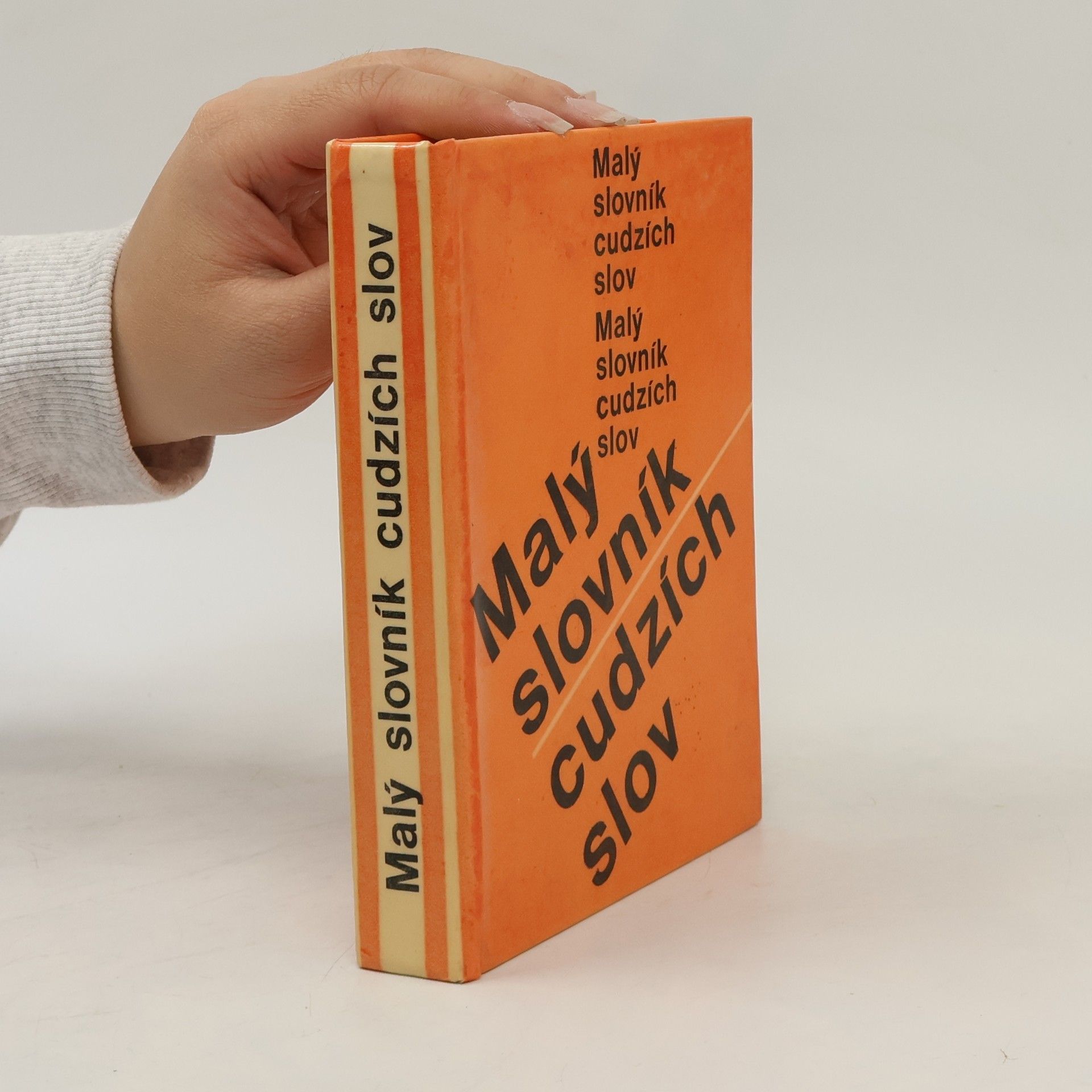 Mária Ivanová Šalingová Malý slovník cudzích slov