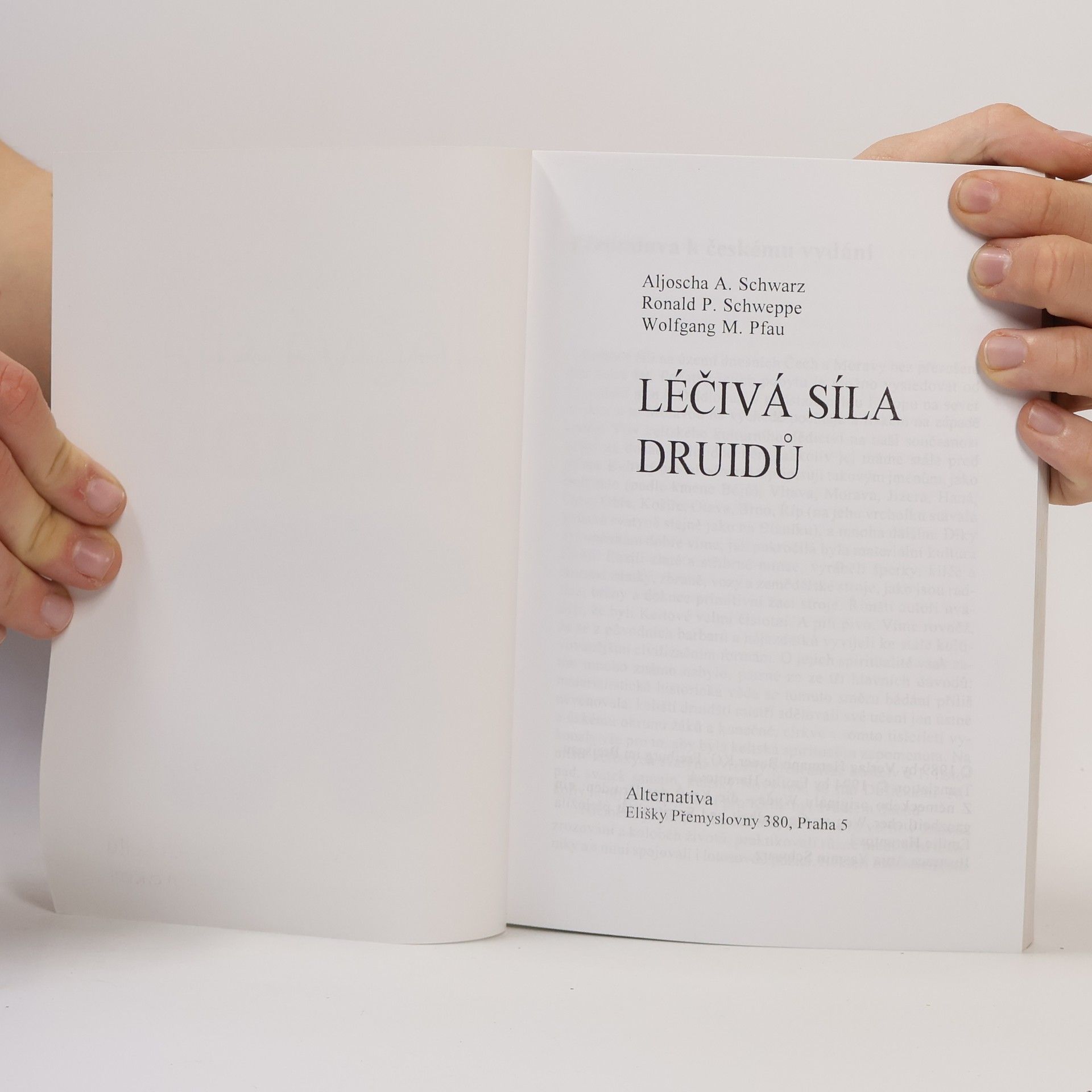 Ronald Schweppe Léčivá síla druidů