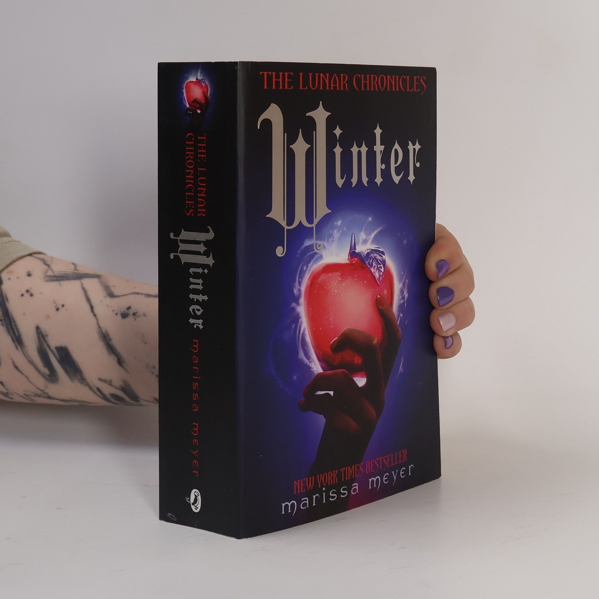 Marissa Meyer Winter