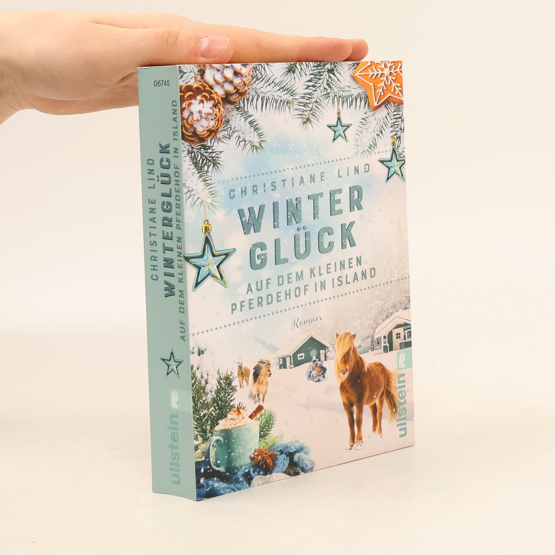 Christiane Lind Winterglück auf dem kleinen Pferdehof in Island