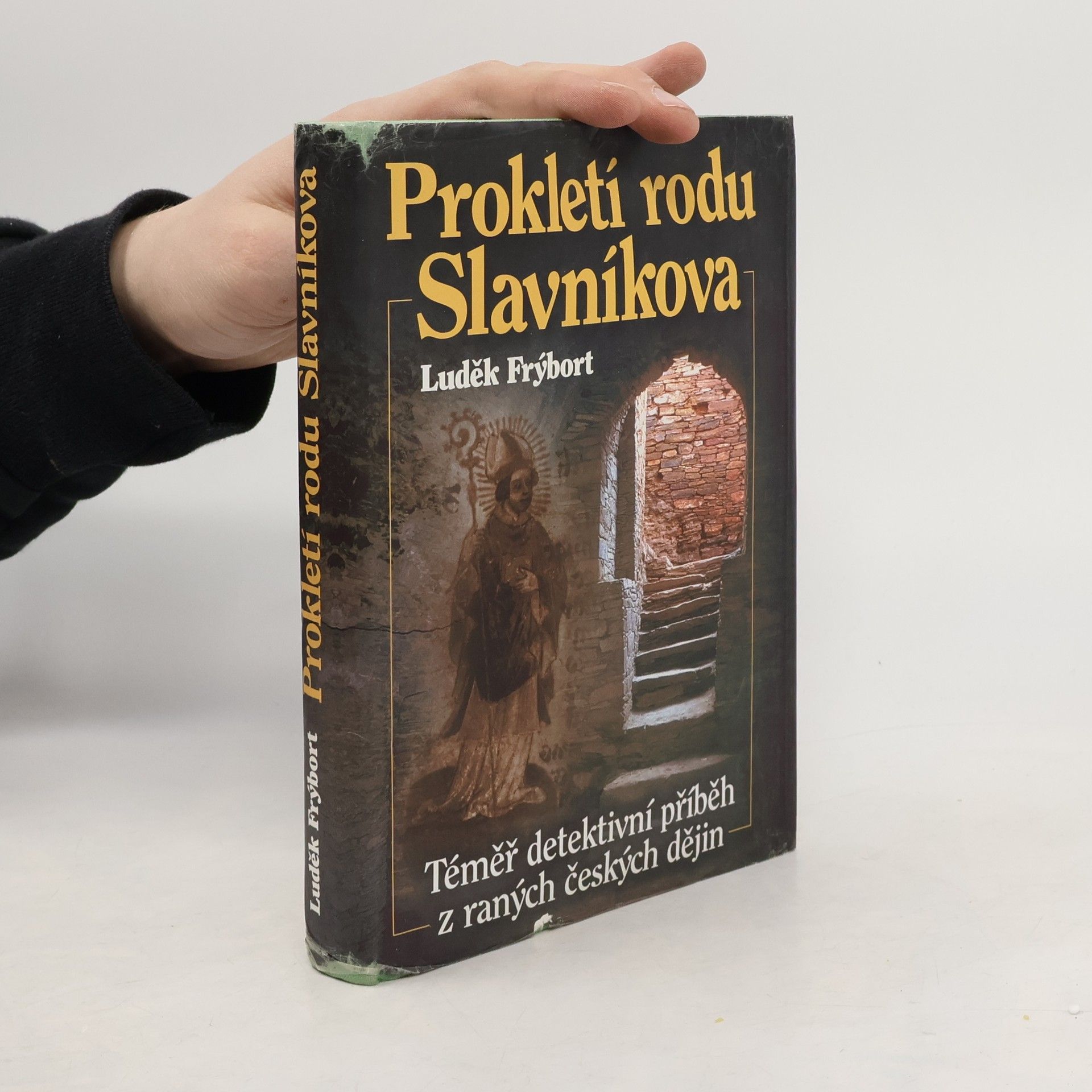 Luděk Frýbort Prokletí rodu Slavníkova. Téměř detektivní příběh z raných českých dějin
