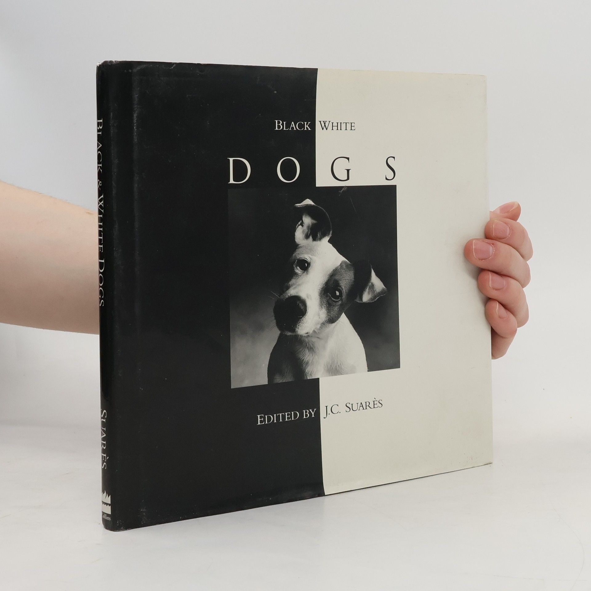 Jean-Claude Suarès Black & White Dogs
