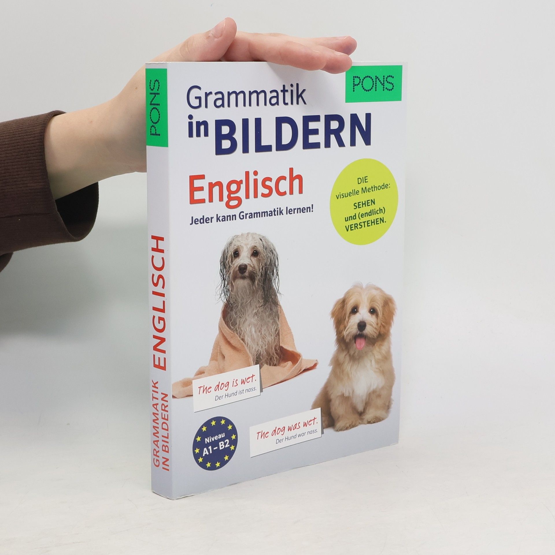 Brian Melican PONS Grammatik in Bildern Englisch