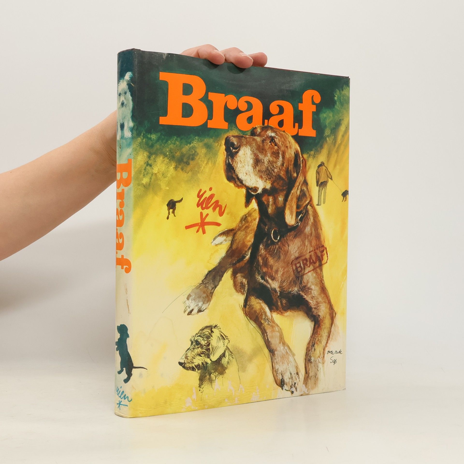 Rien Poortvliet Braaf