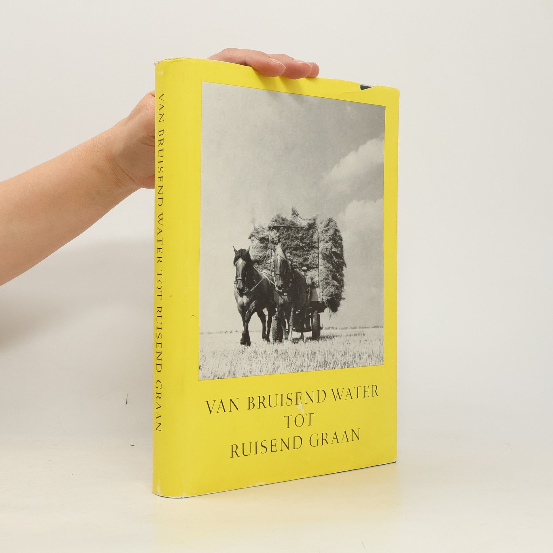 H. Veenman Van bruisend water tot ruisend graan