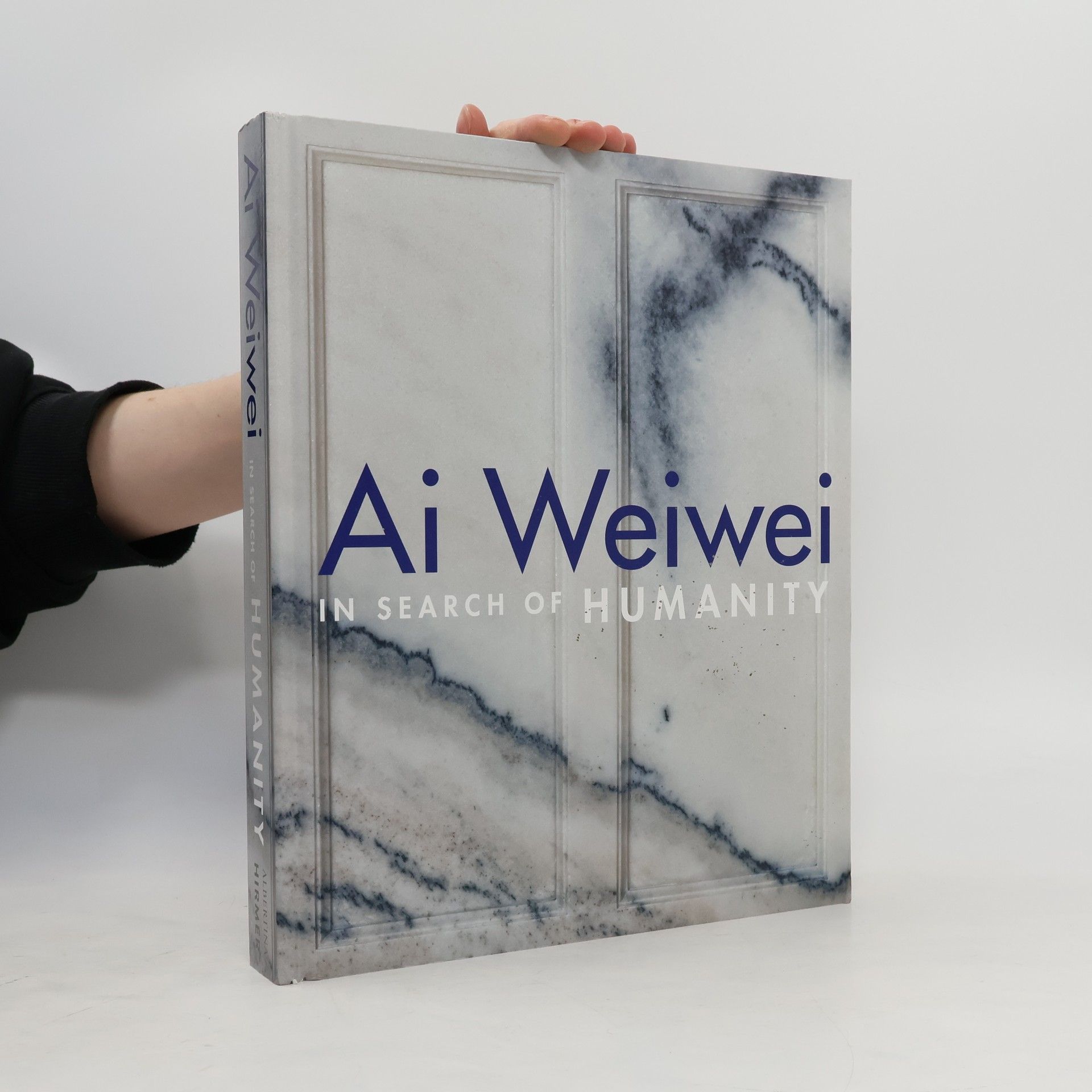 Dieter Buchhart Ai Weiwei