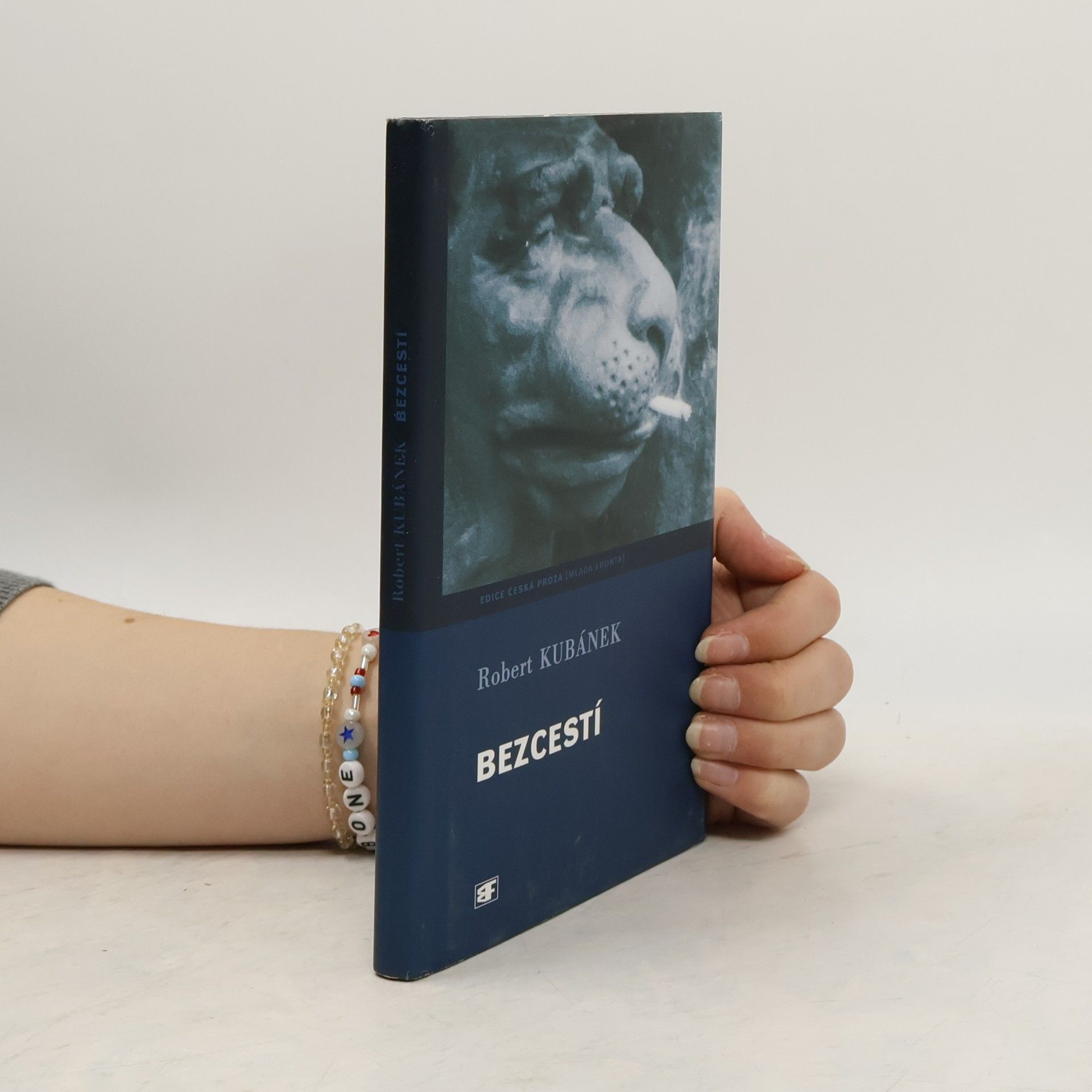 Robert Kubánek Bezcestí