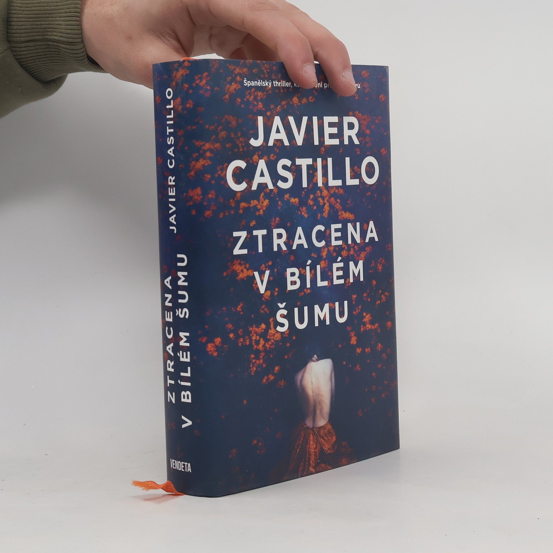 Javier Castillo Ztracena v bílém šumu