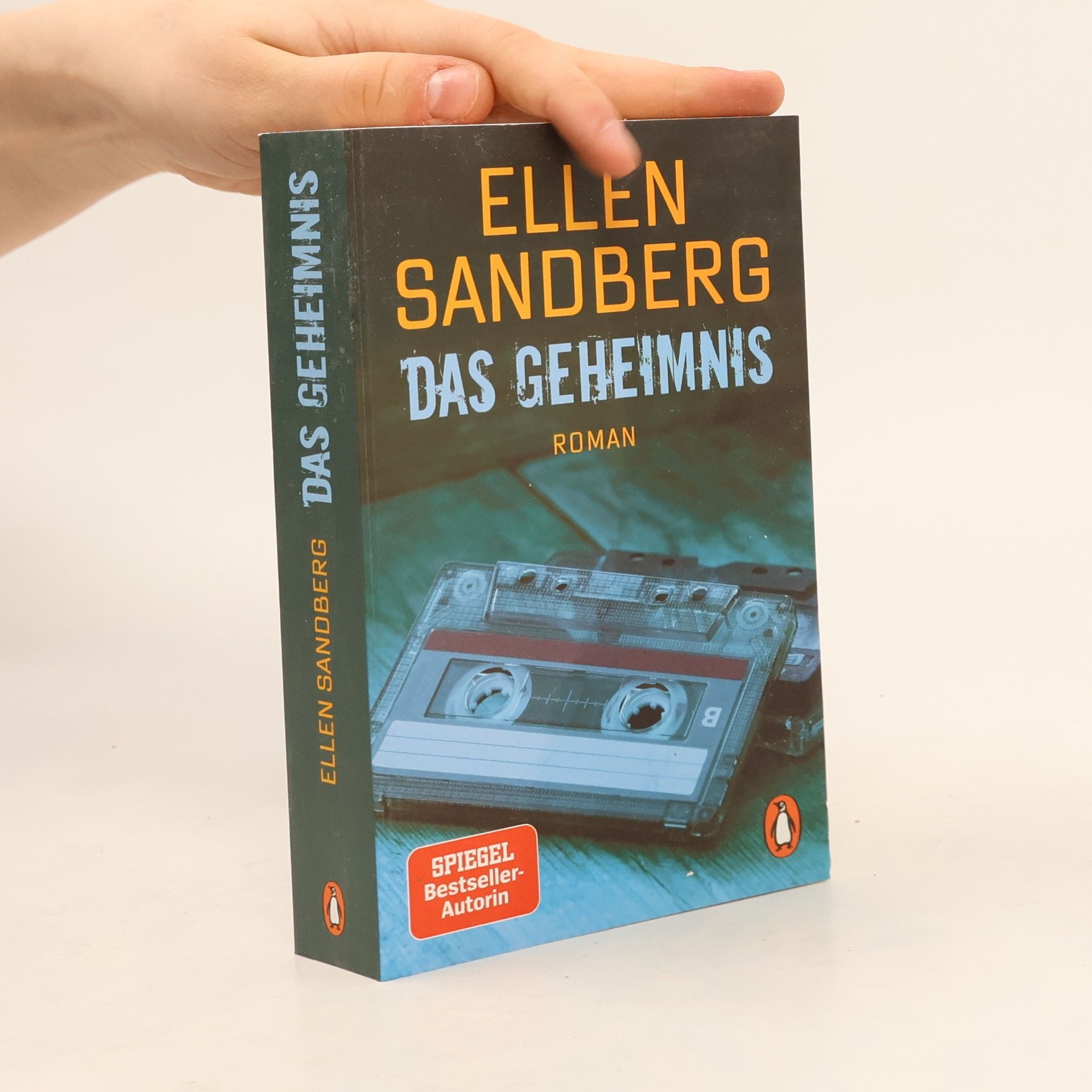 Ellen Sandberg Das Geheimnis