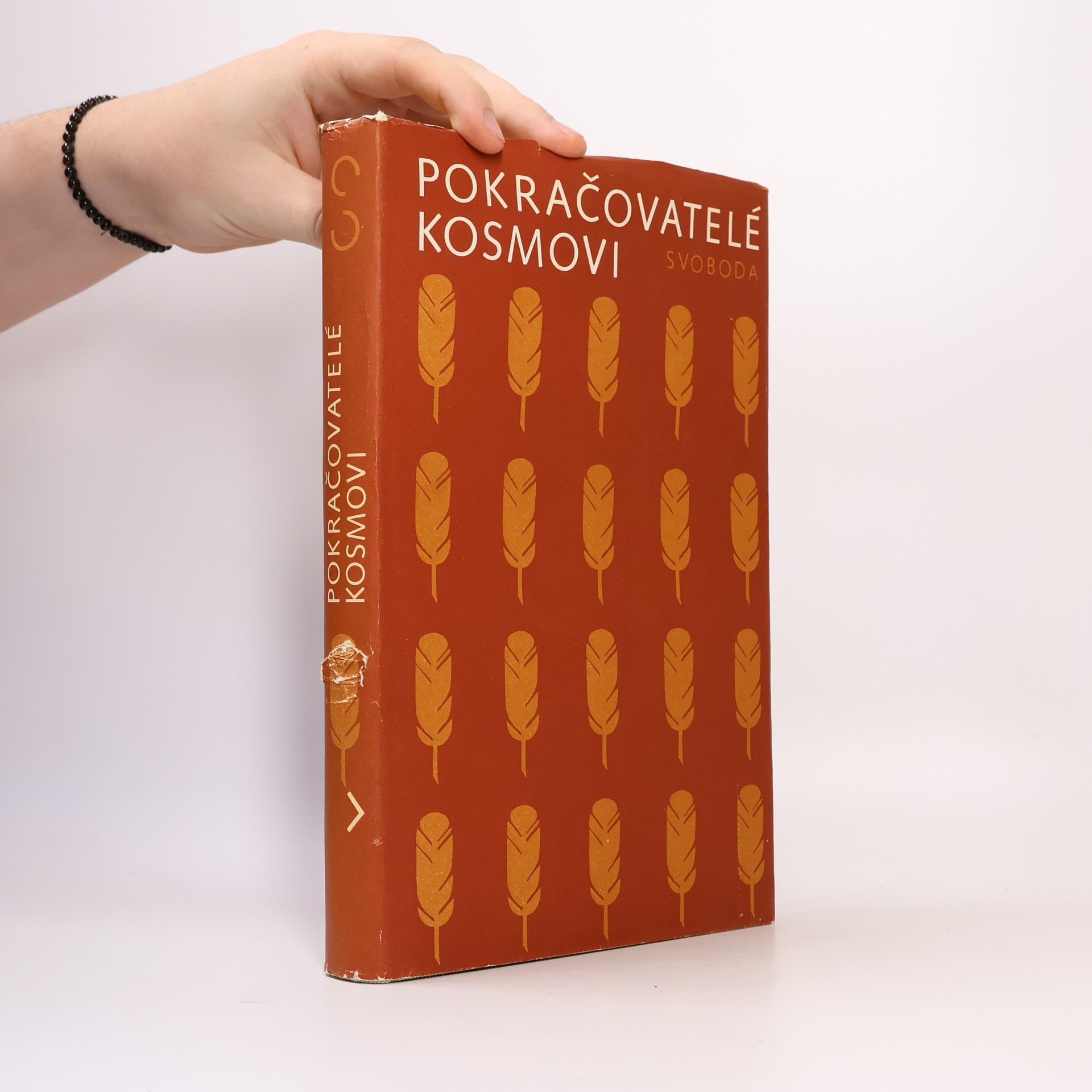 Zdeněk Fiala Pokračovatelé Kosmovi