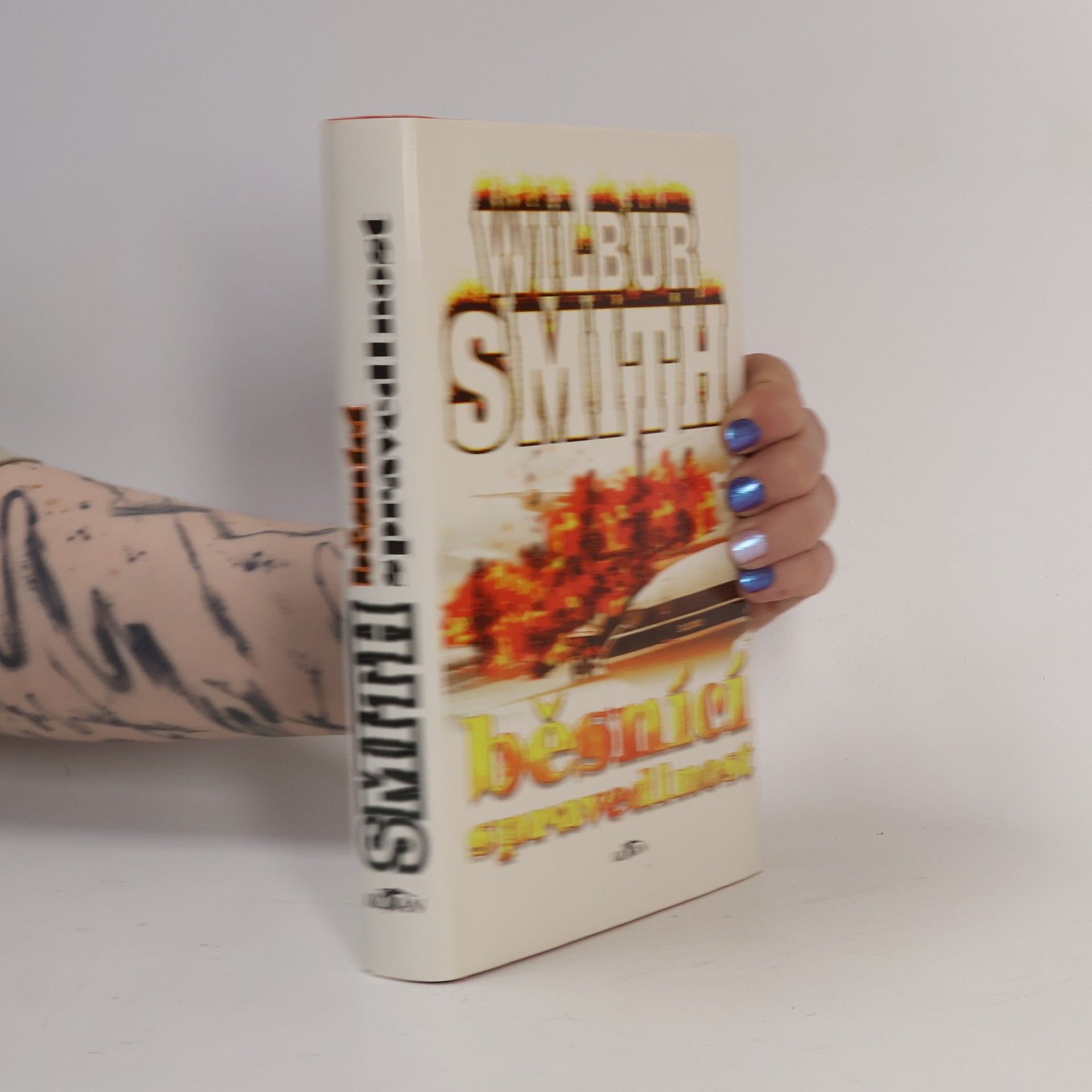 Wilbur Smith Běsnící spravedlnost
