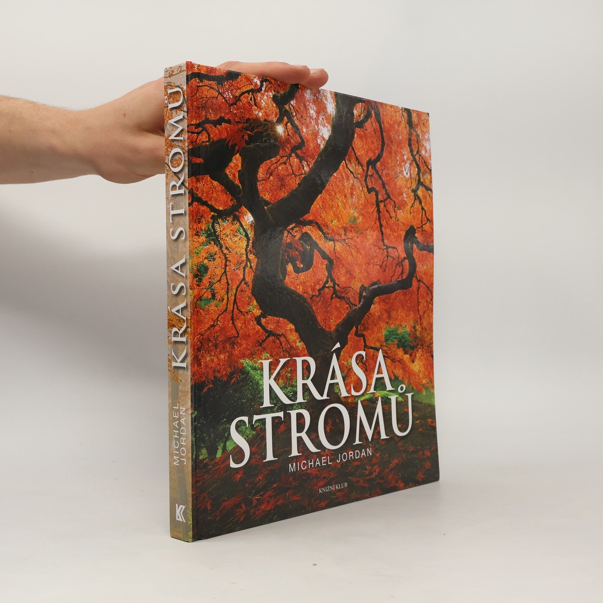 Tony Kirkham Krása stromů