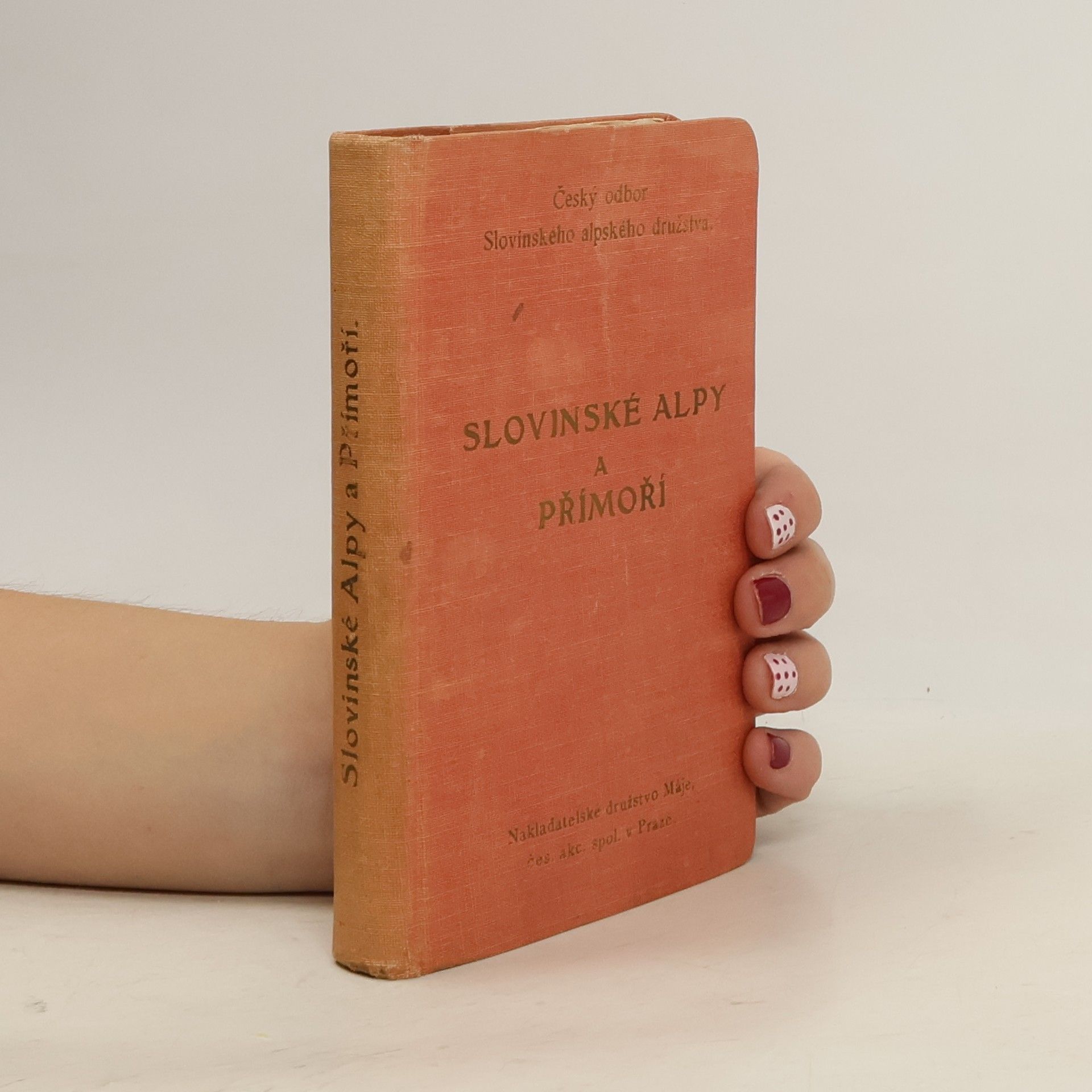 AA.VV. Slovinské Alpy a Přímoří