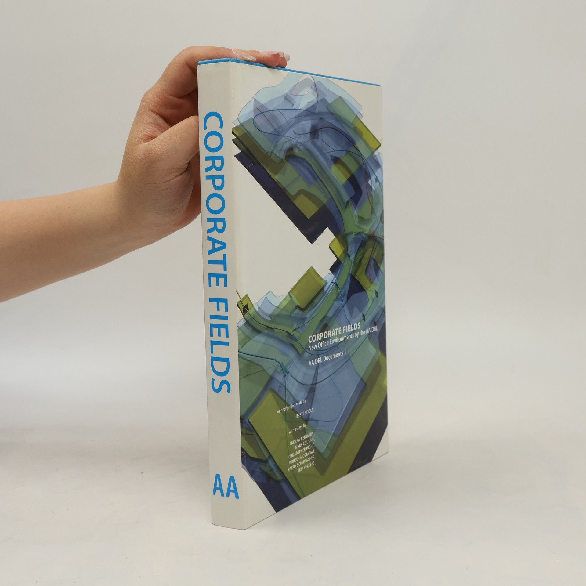 Brett Steele Corporate Fields