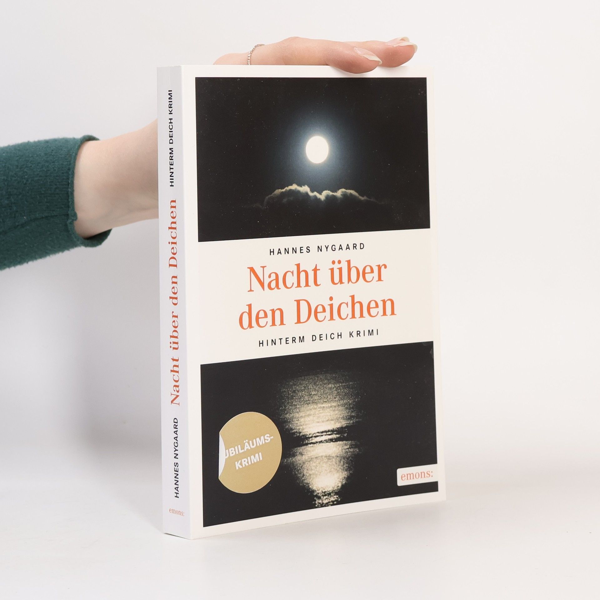 Hannes Nygaard Nacht über den Deichen