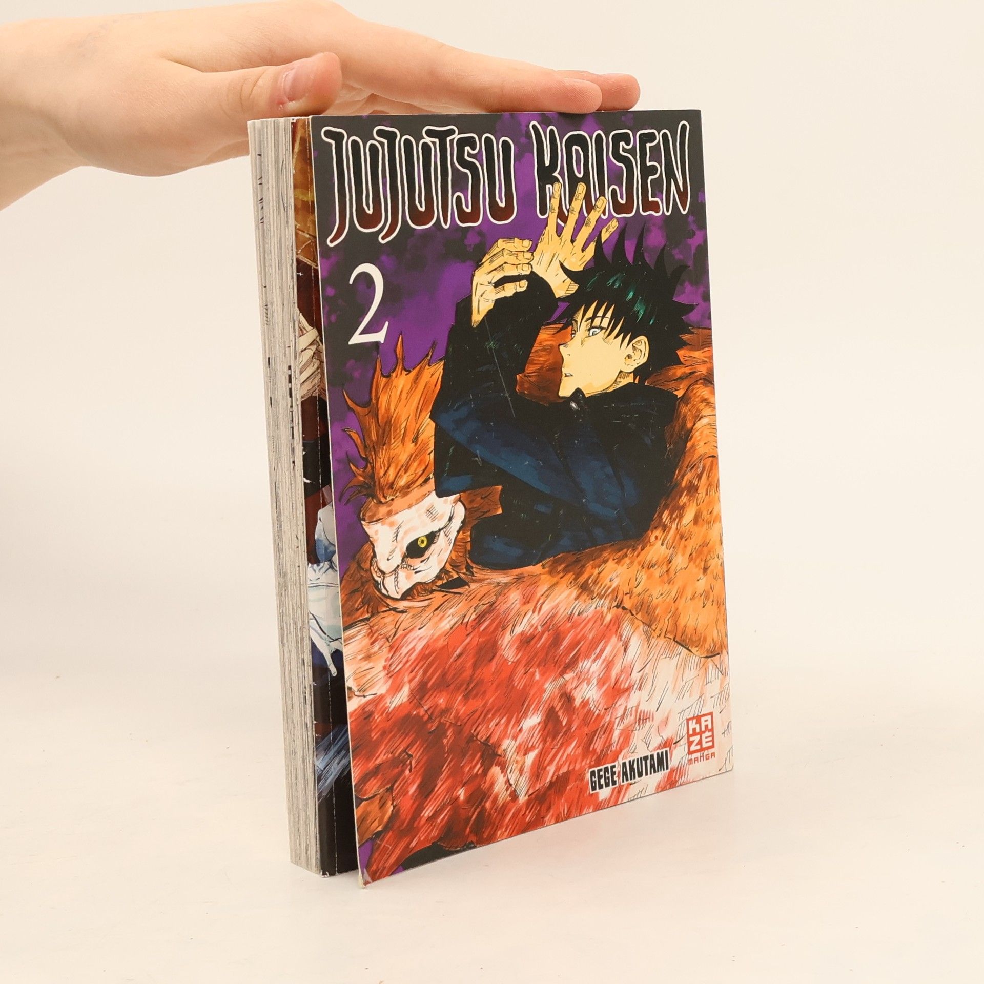 Gege Akutami Jujutsu Kaisen Vol. 2