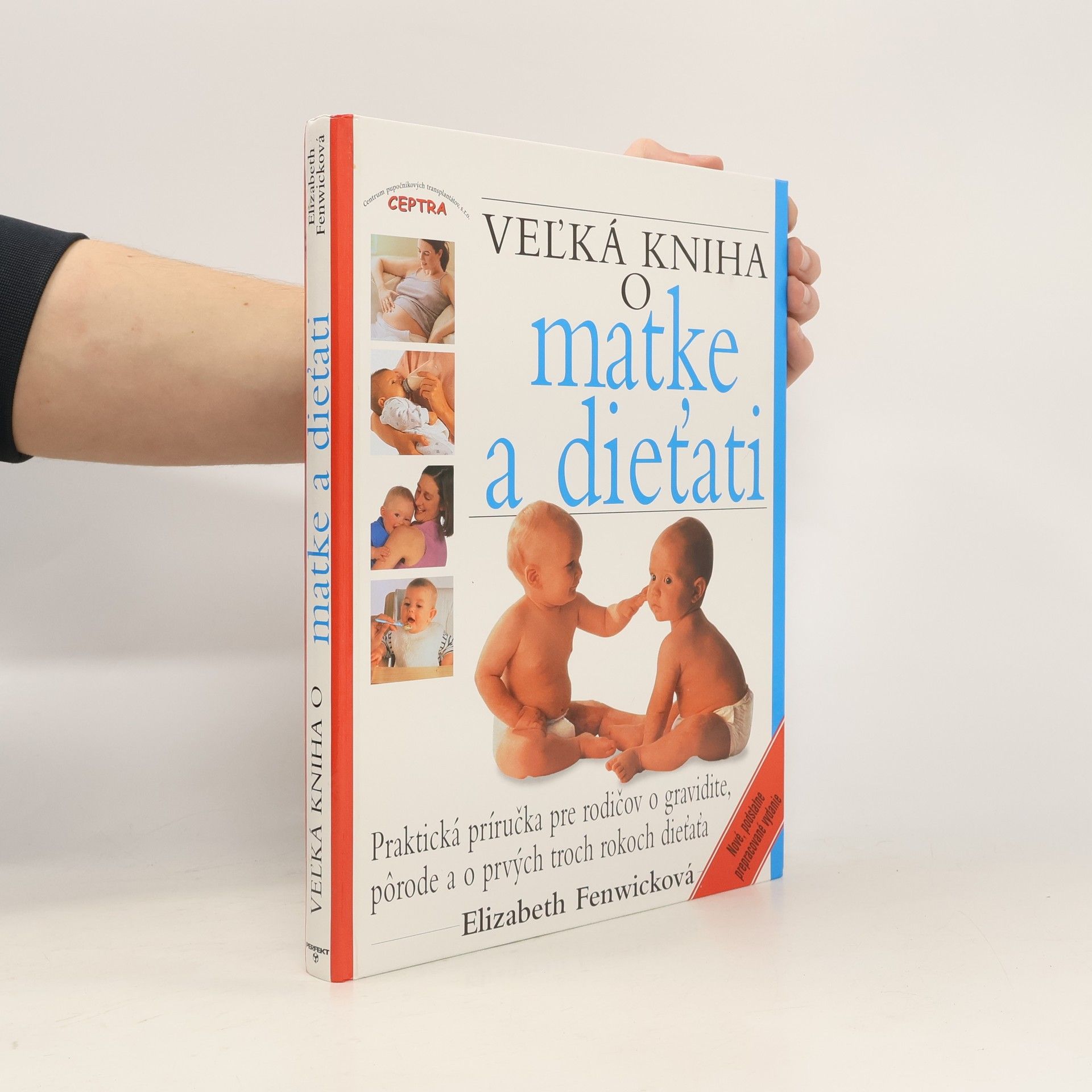 Vladimír Bříza Word 2002 : podrobný průvodce začínajícího uživatele