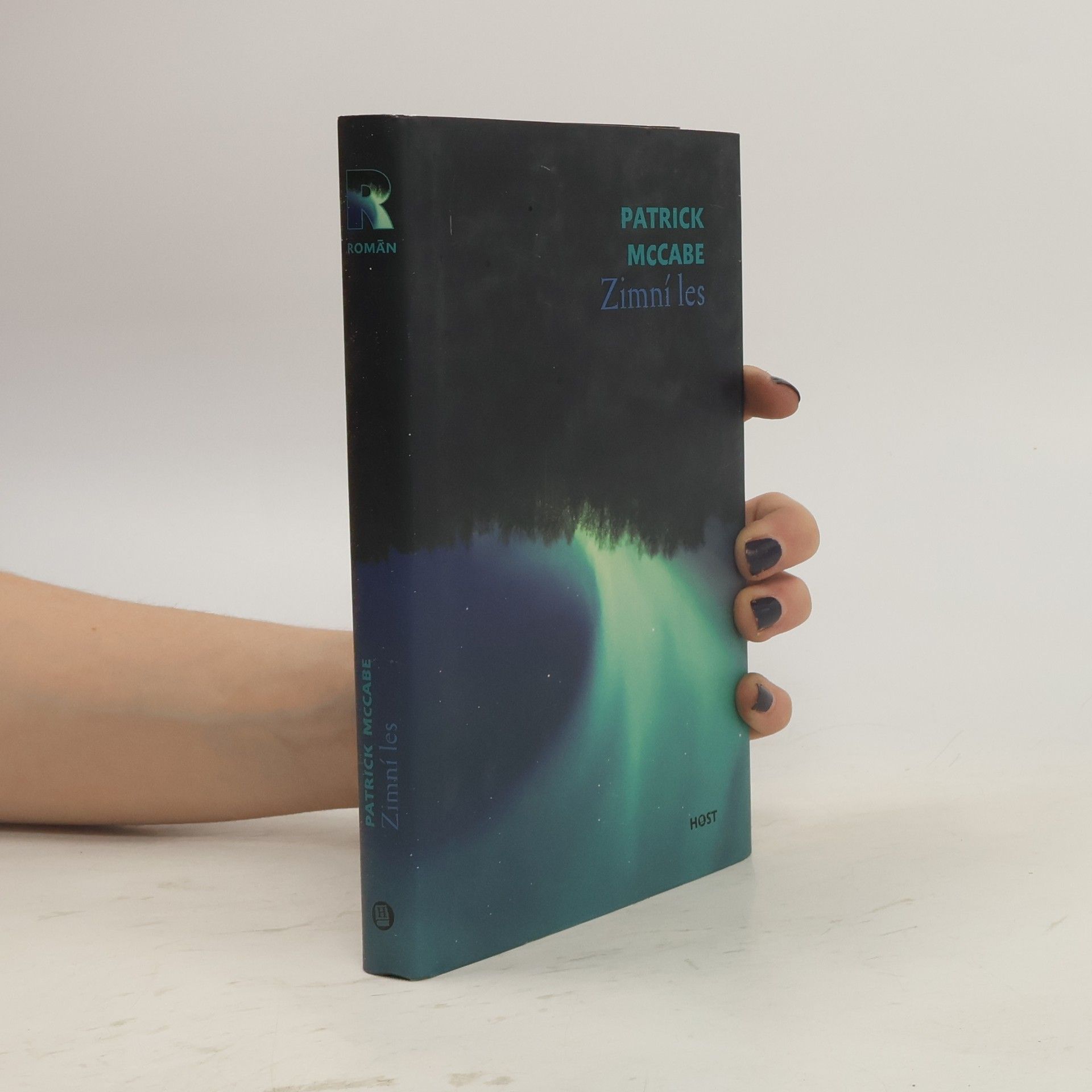 Patrick McCabe Zimní les