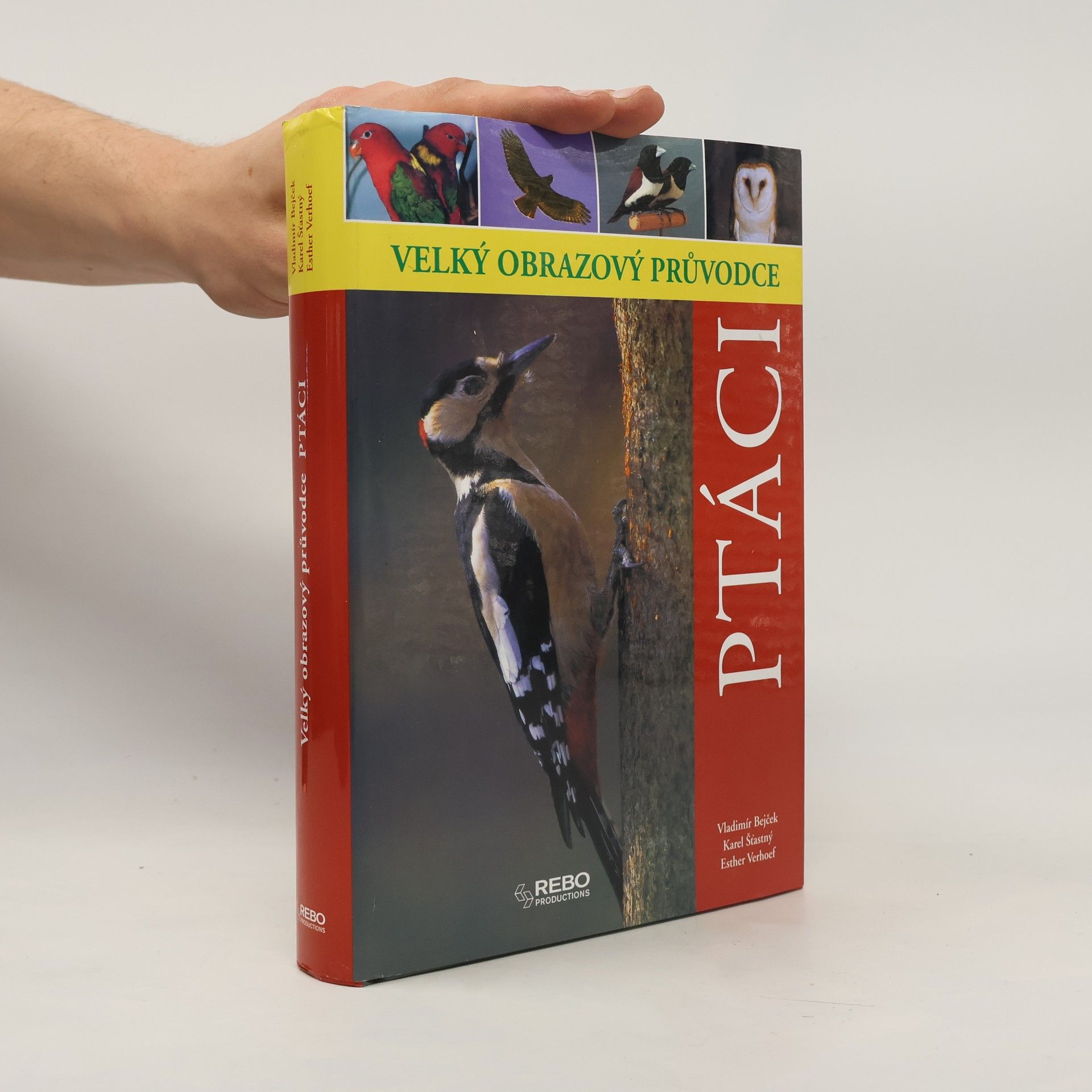 Berry Verhoef Ptáci - Velký obrazový průvodce