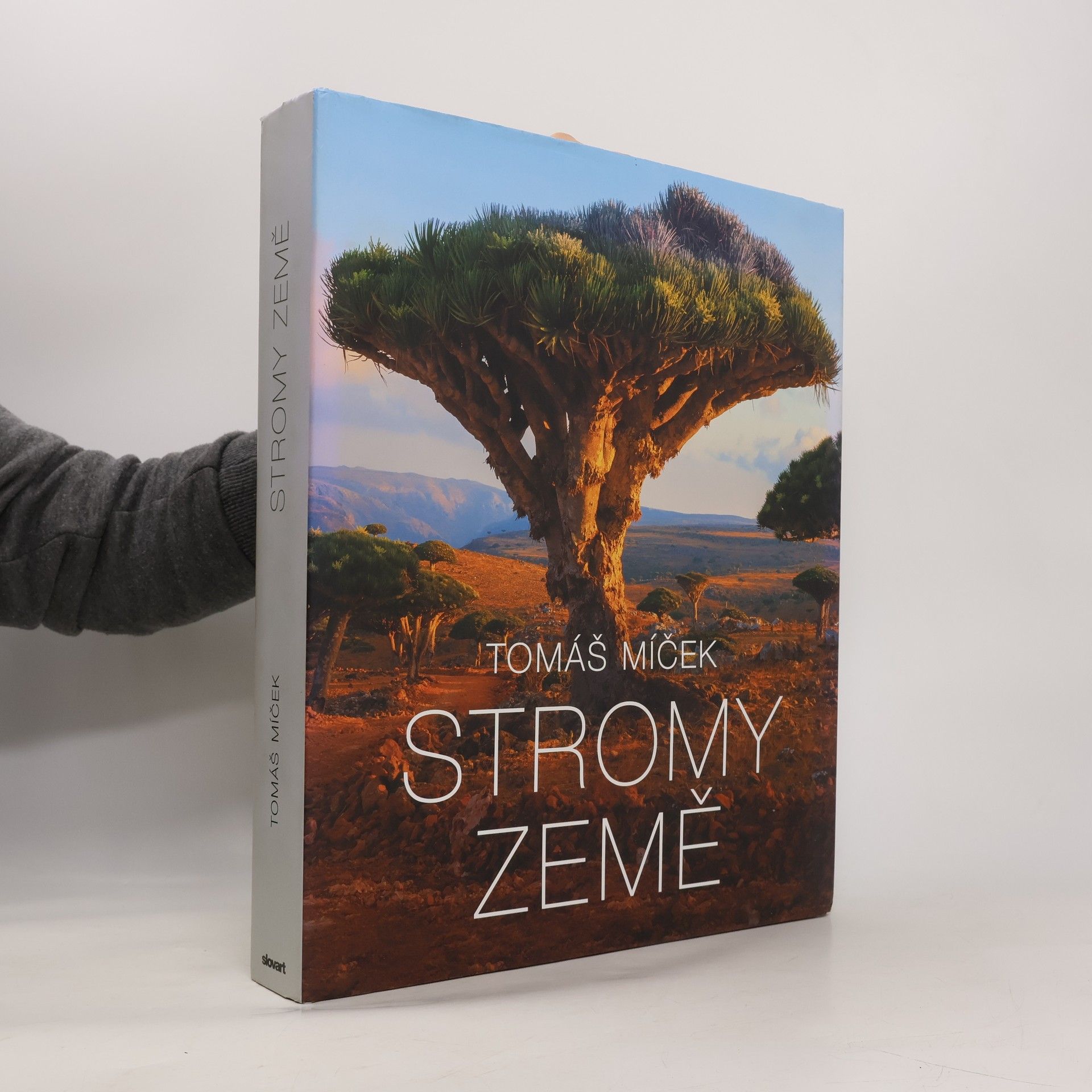 Tomáš Míček Stromy Země