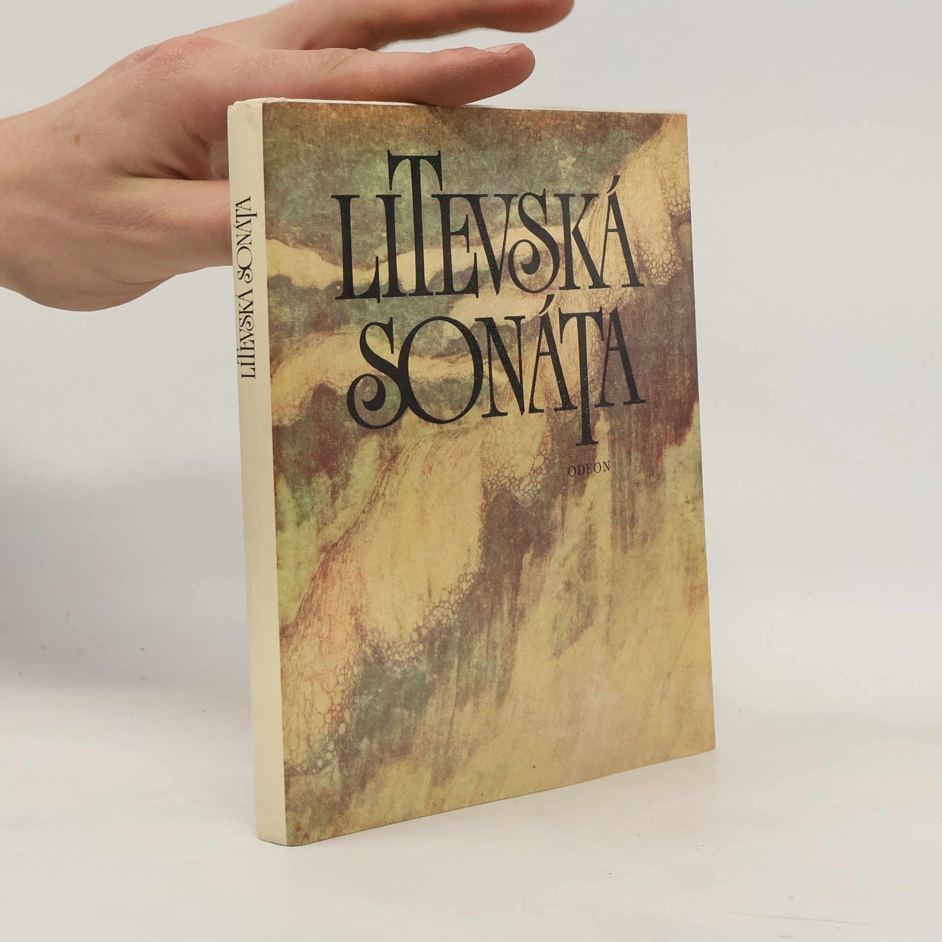 Salomeja Nérisová Litevská sonáta