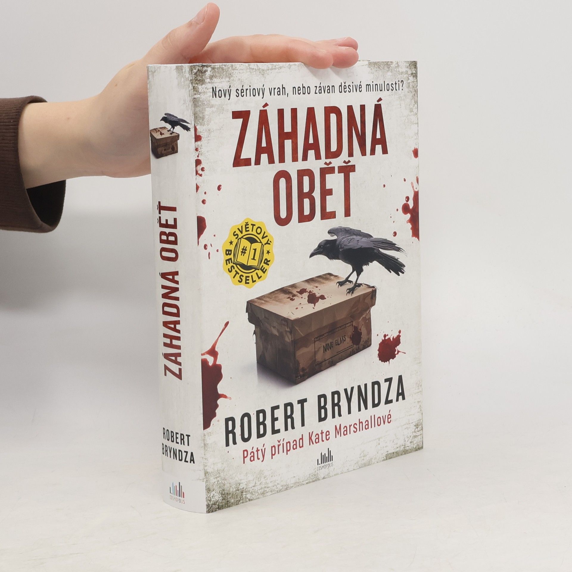 Robert Bryndza Záhadná oběť