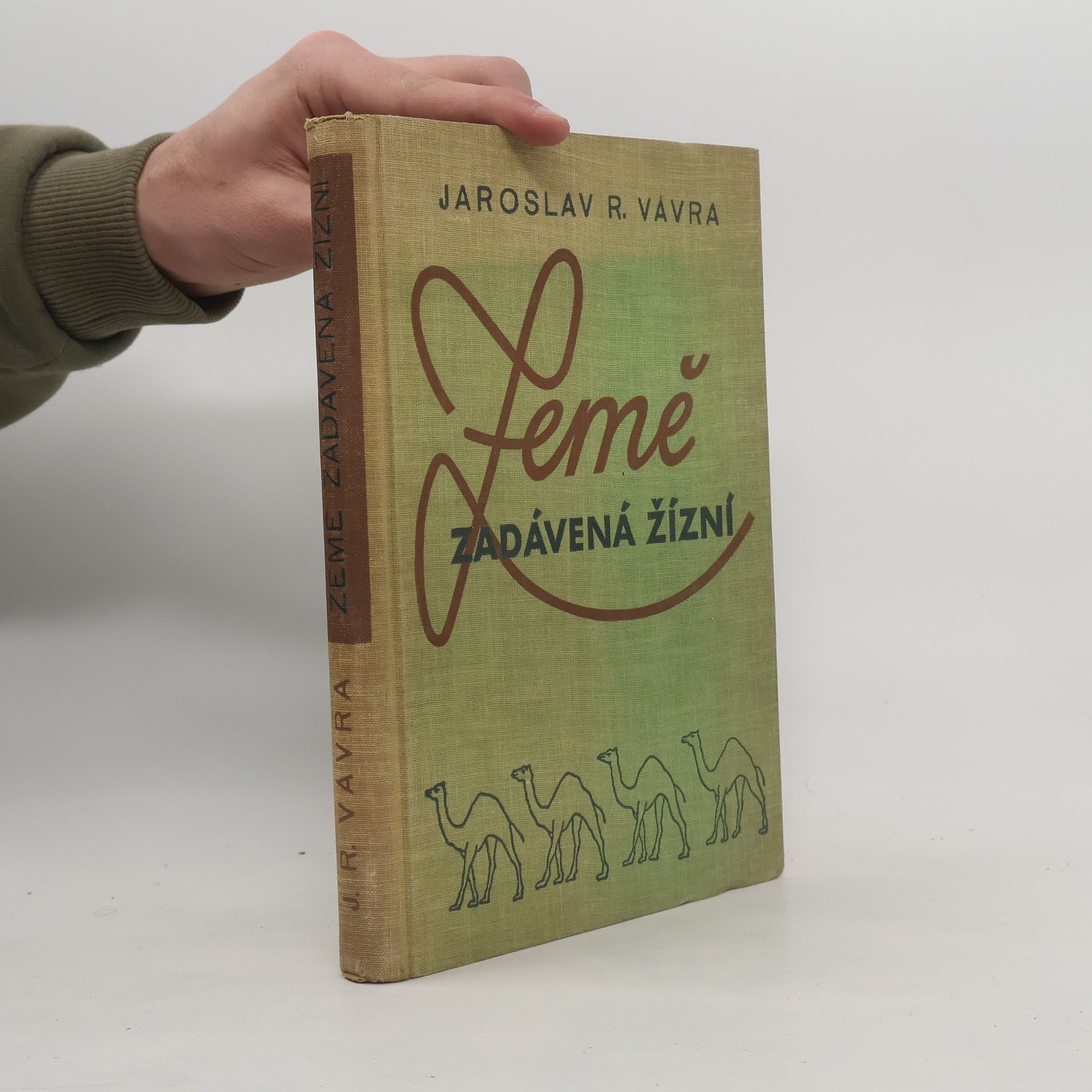 Země zadávená žízní