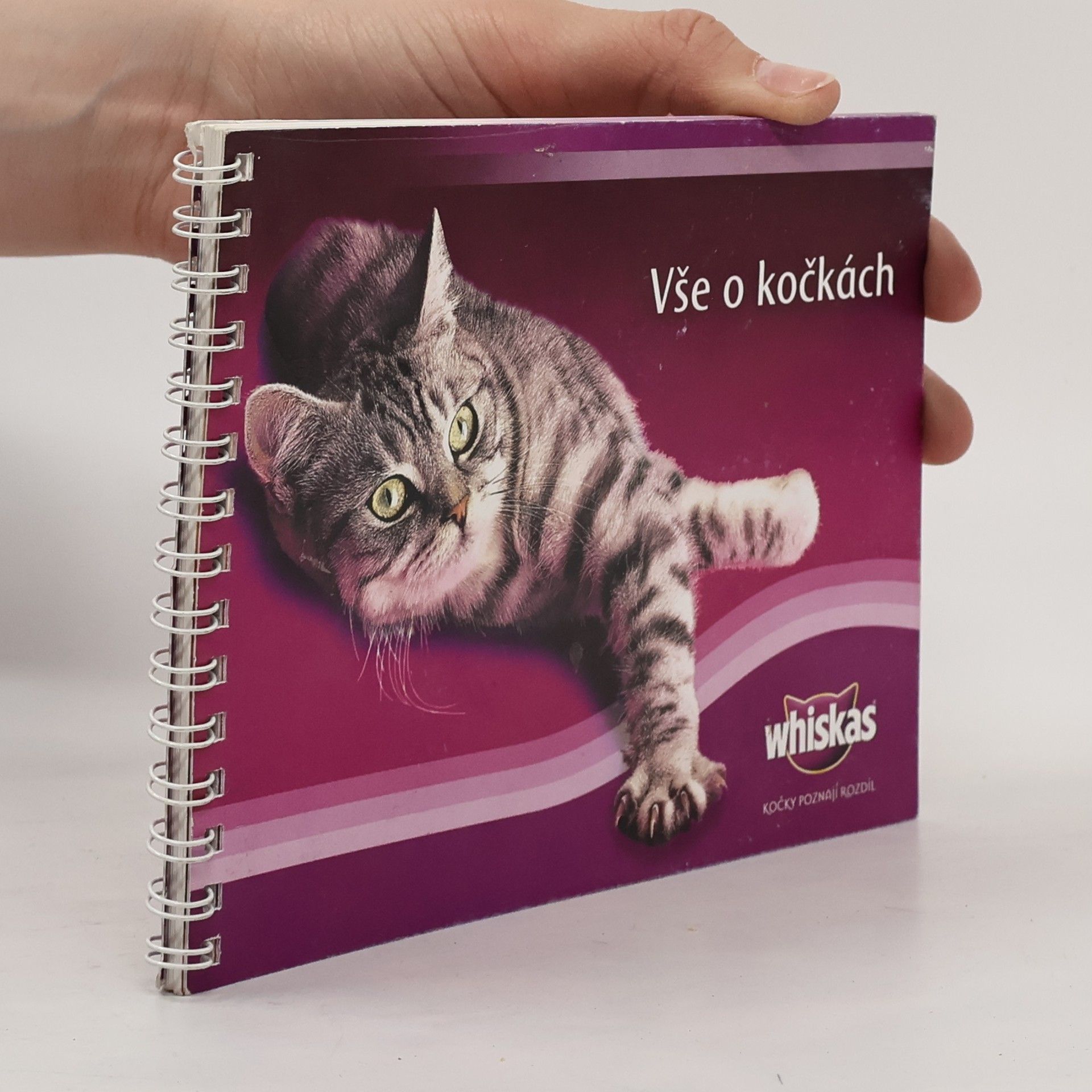 Kolektiv autorů Vše o kočkách