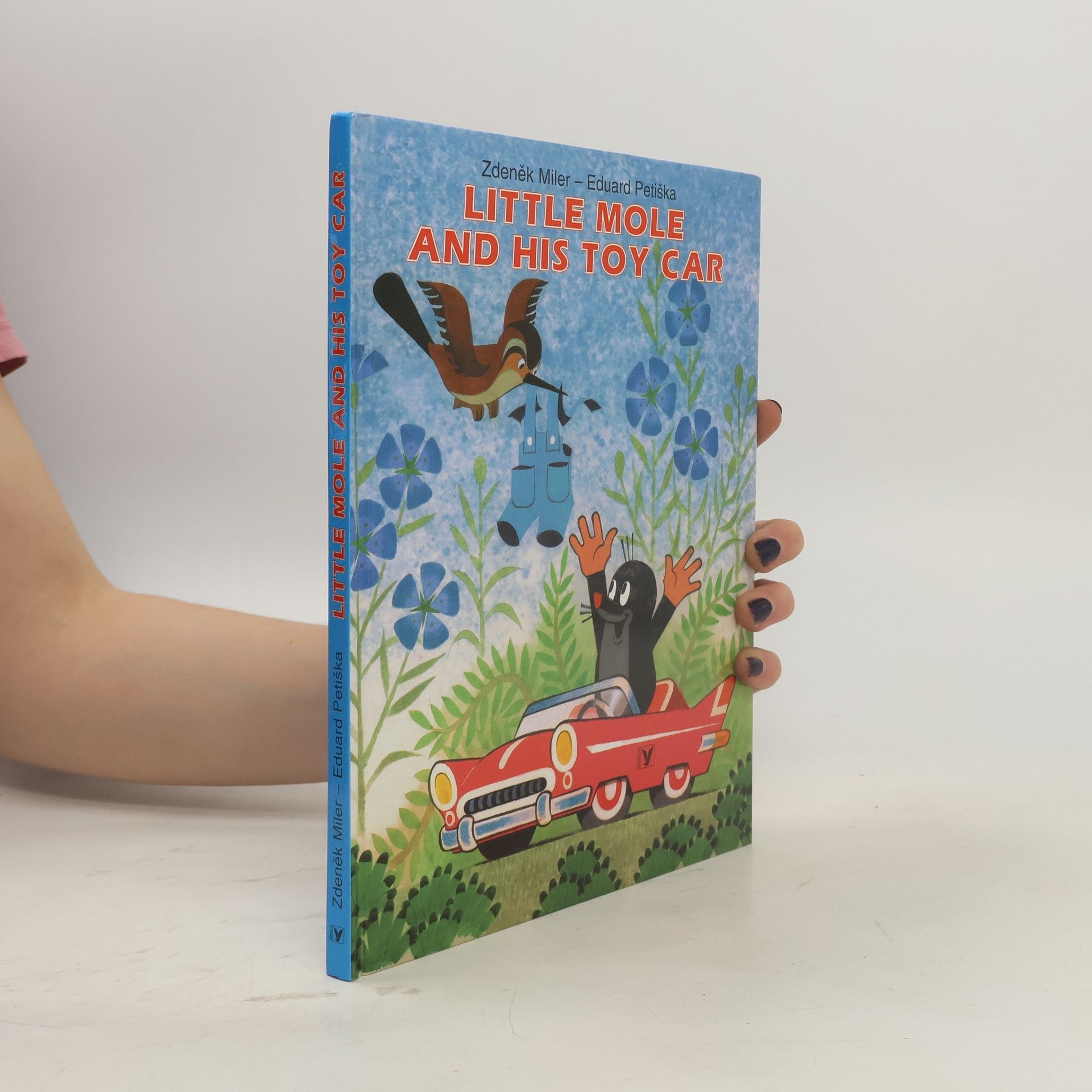 Little Mole and his toy car