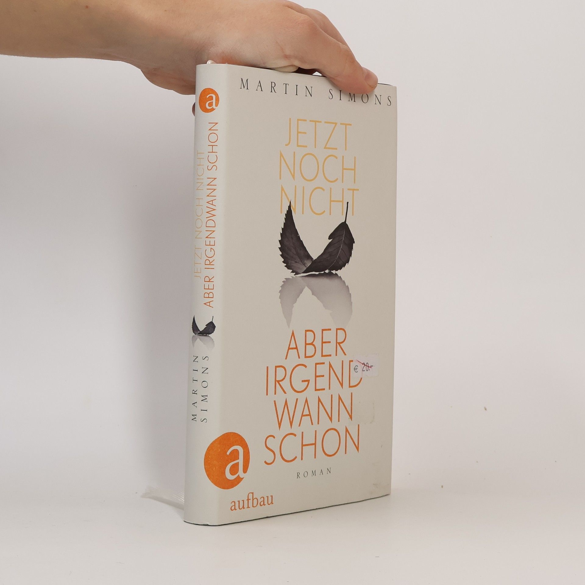 Martin Simons Jetzt noch nicht, aber irgendwann schon