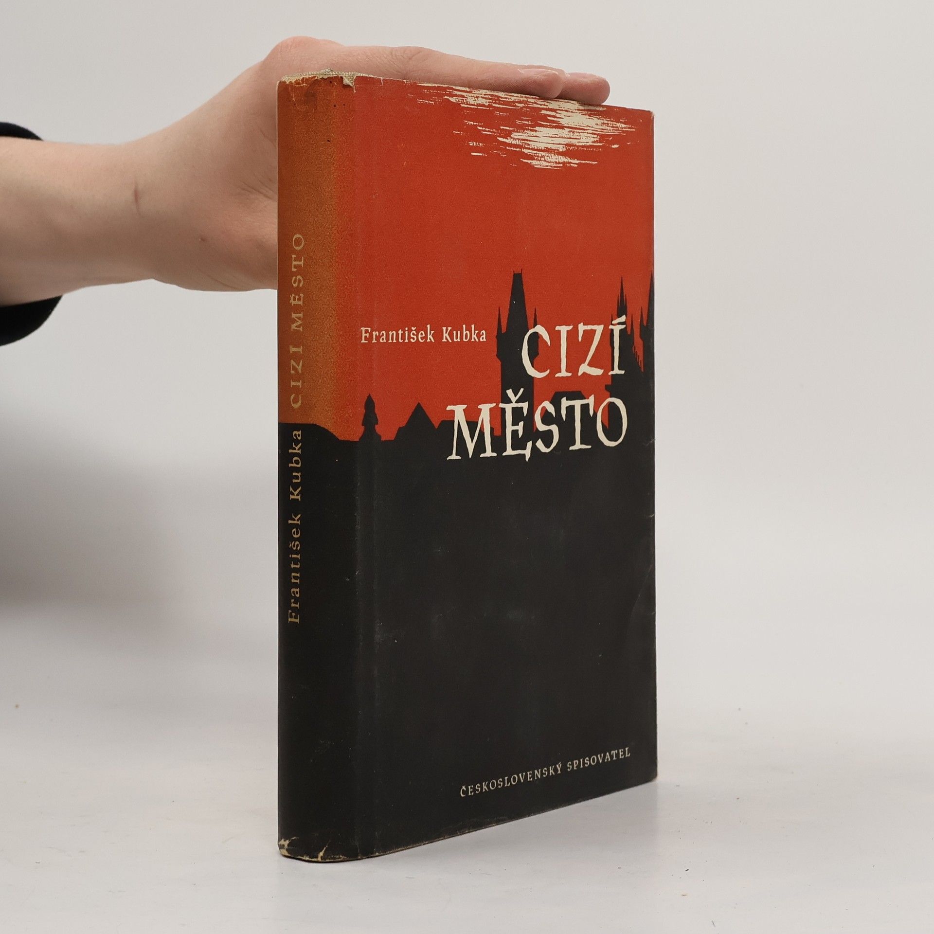 František Kubka Cizí město