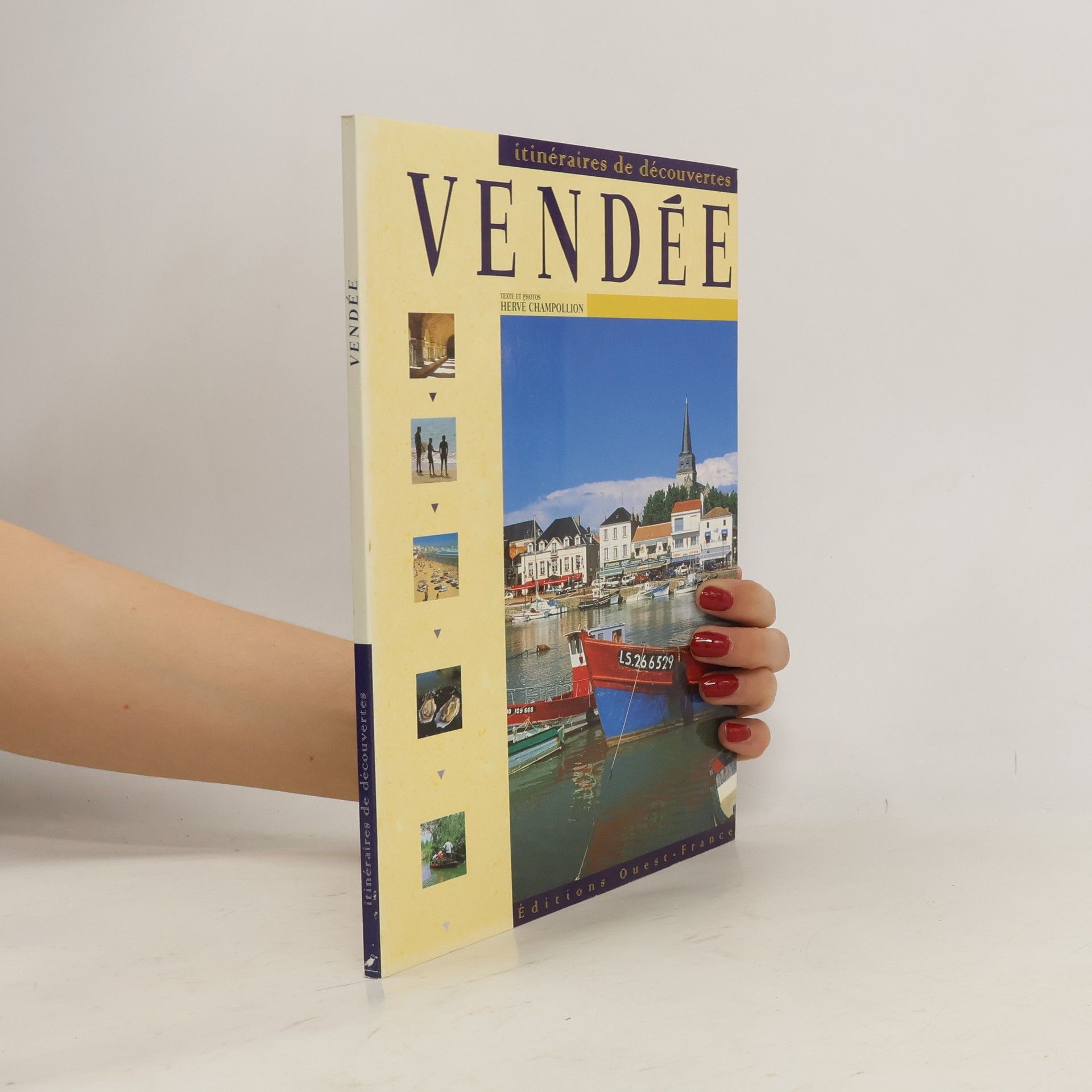 Hervé Champollion Vendée