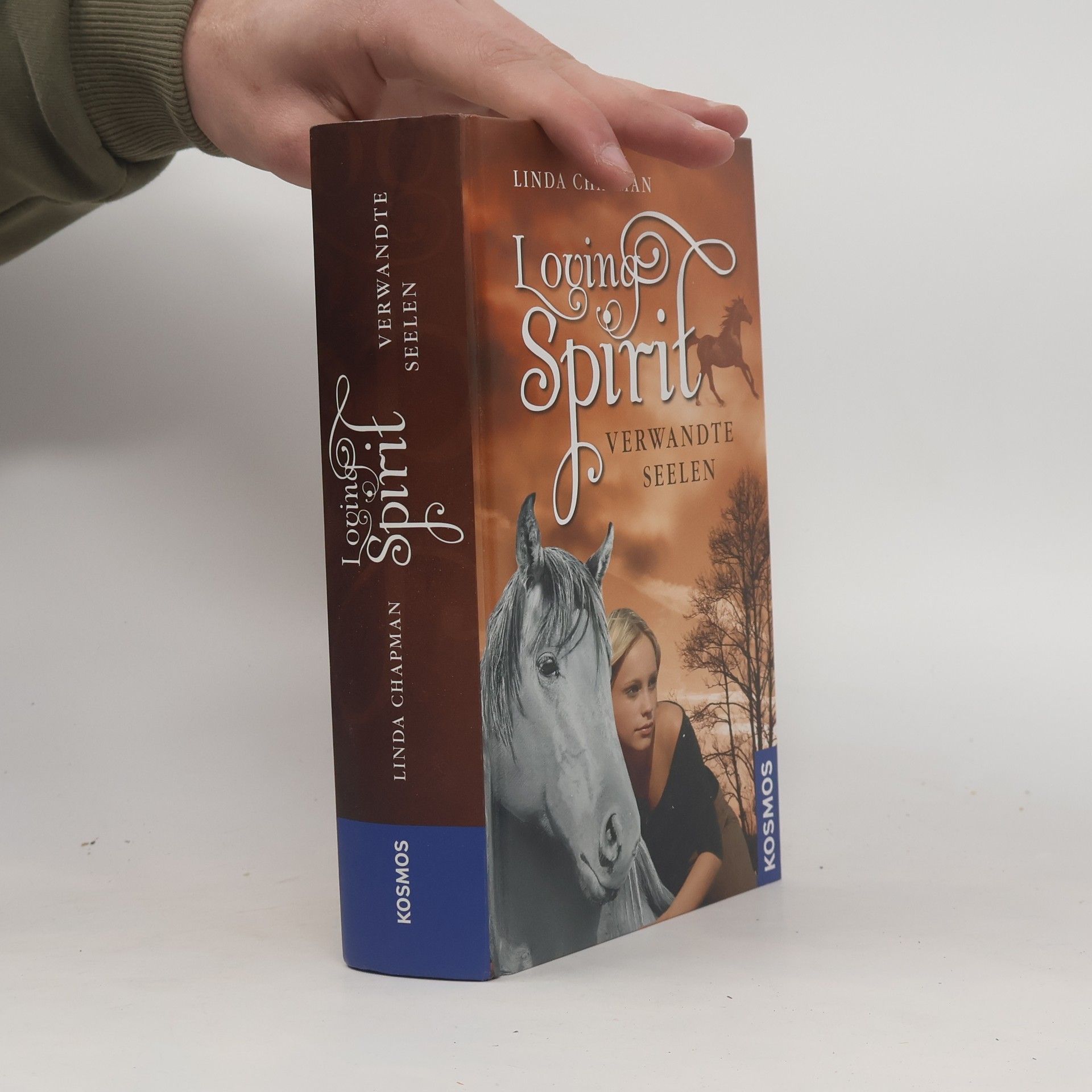 Linda Chapman Loving Spirit