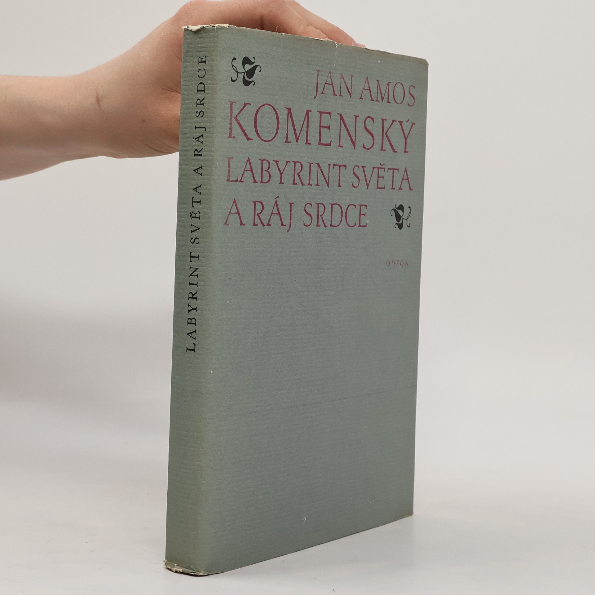 Jan Amos Komenský Labyrint světa a ráj srdce