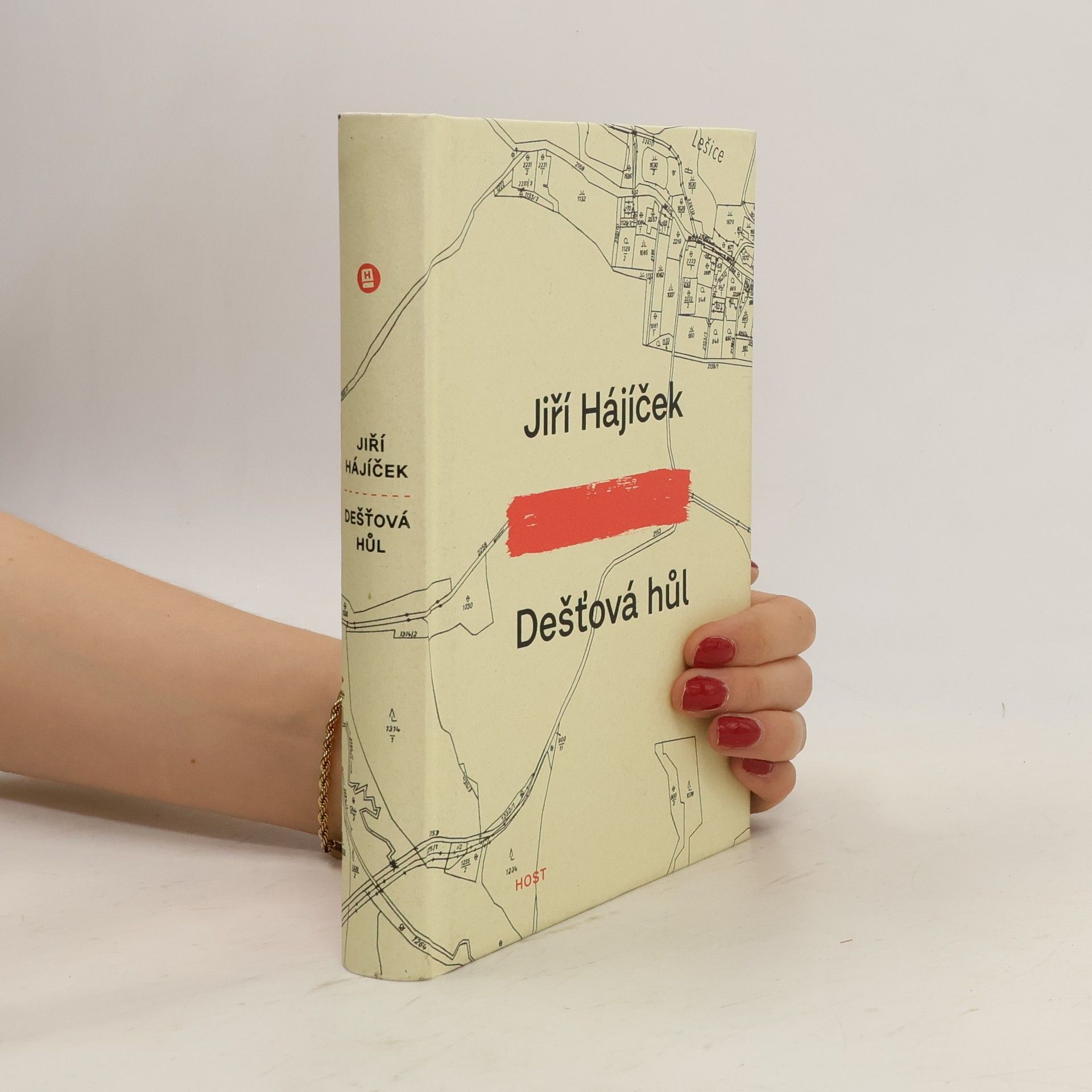 Jiří Hájíček Dešťová hůl