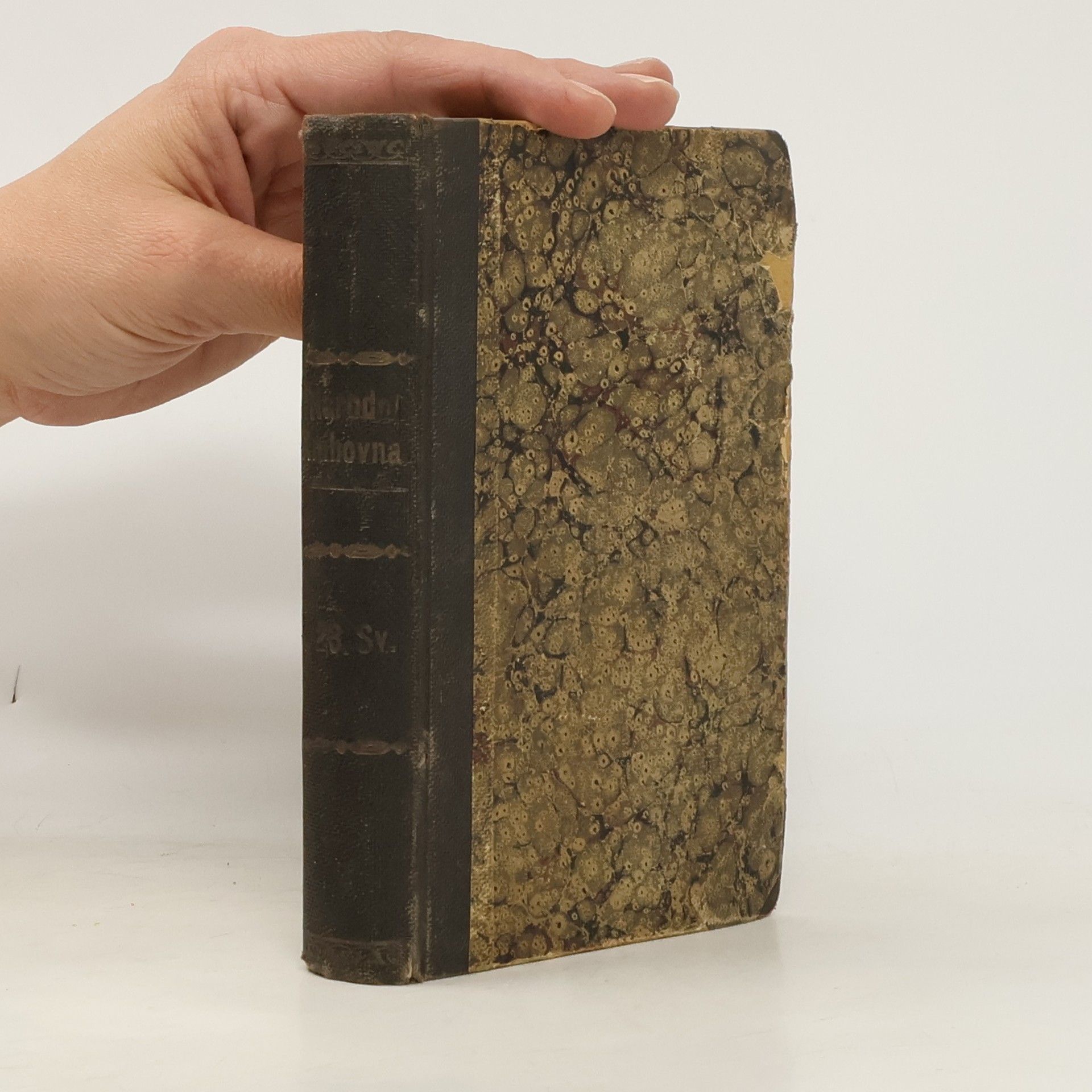 Mikhail Lermontov Hrdina naší doby