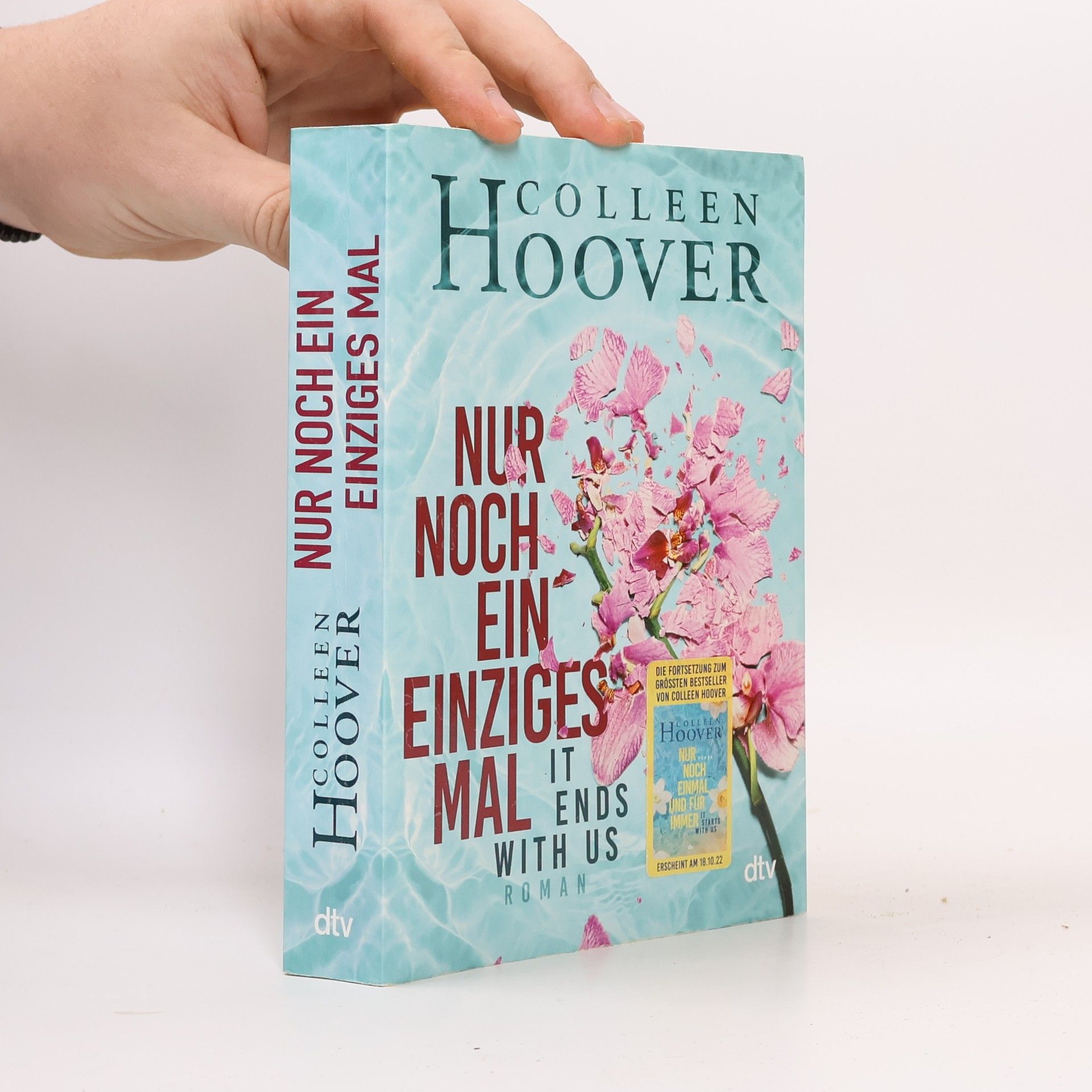 Colleen Hoover Nur noch ein einziges Mal