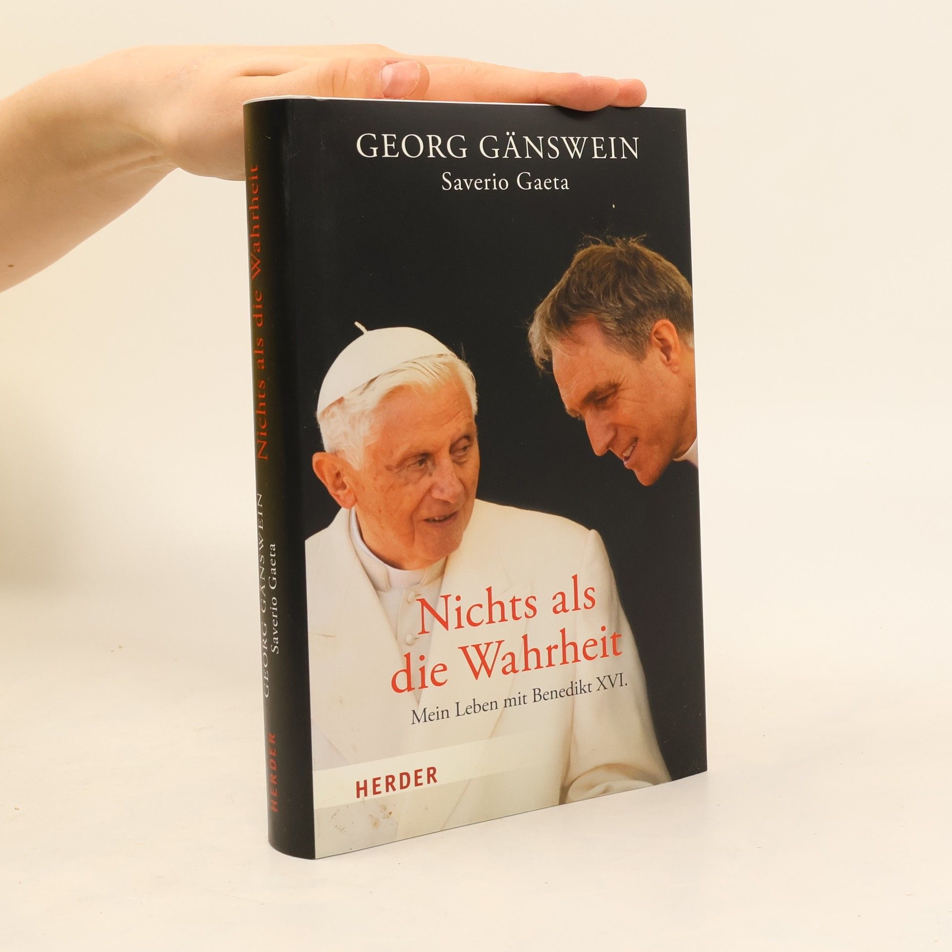 Georg Gänswein Nichts als die Wahrheit