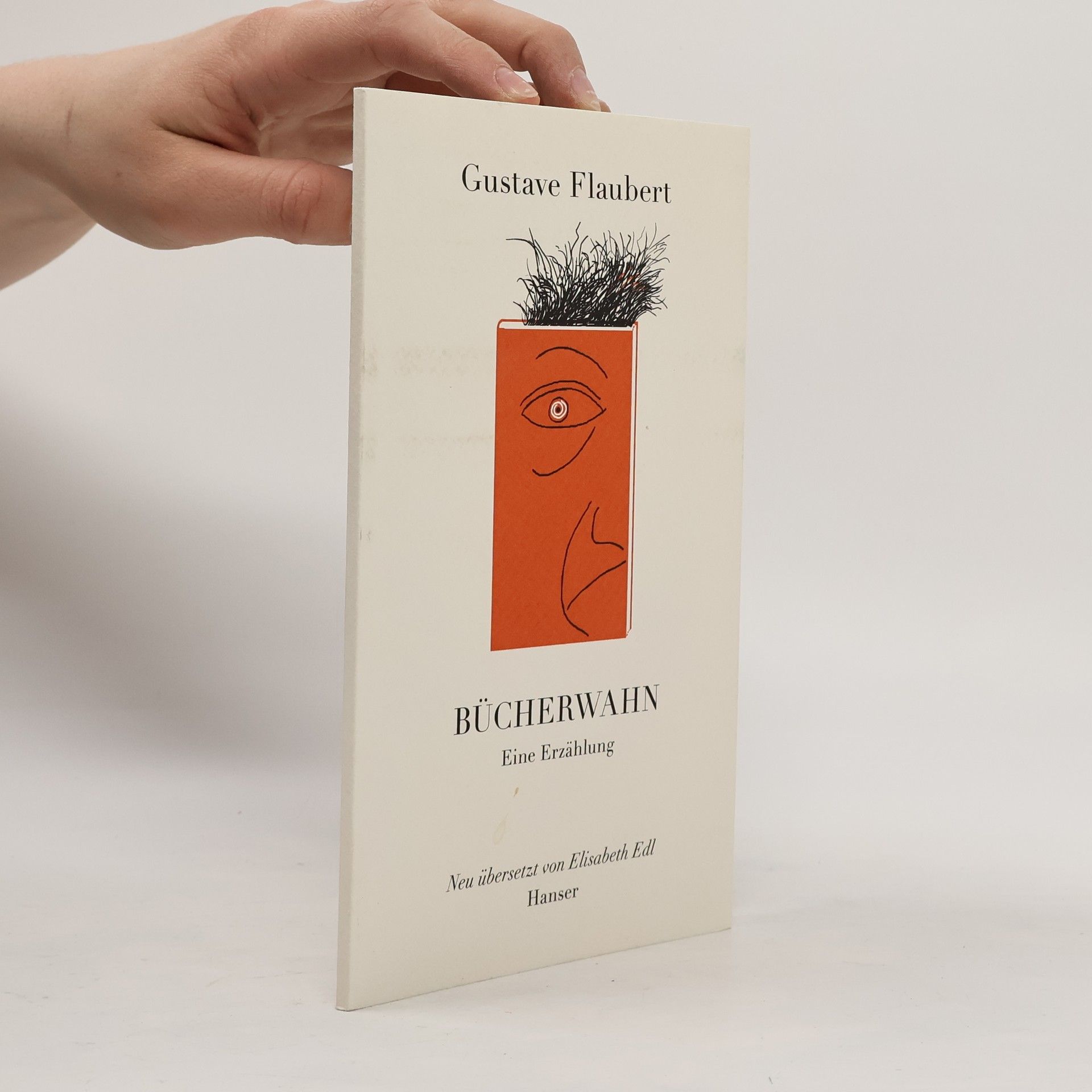 Gustave Flaubert Bücherwahn