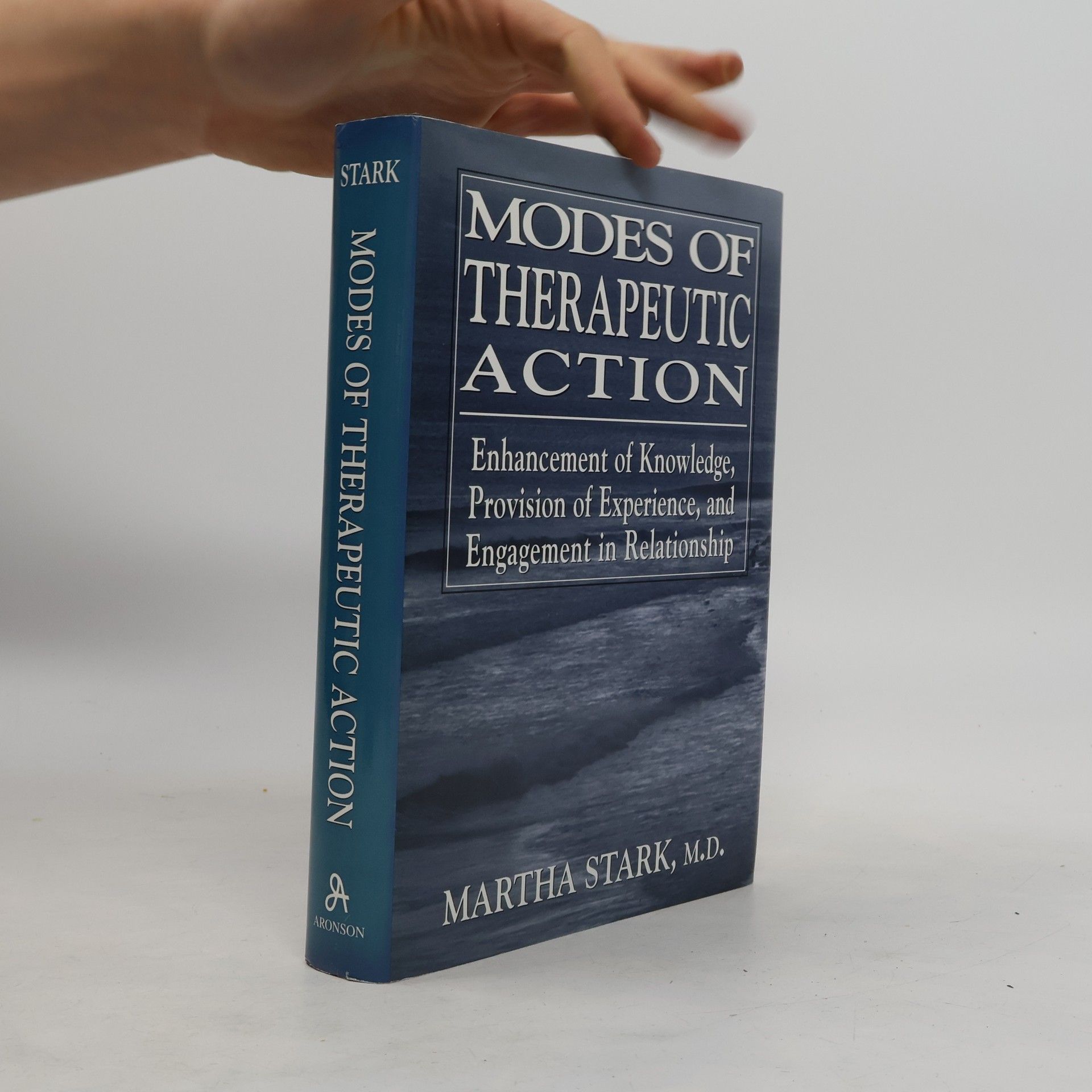 Martha Stark Modes of Therapeutic Action