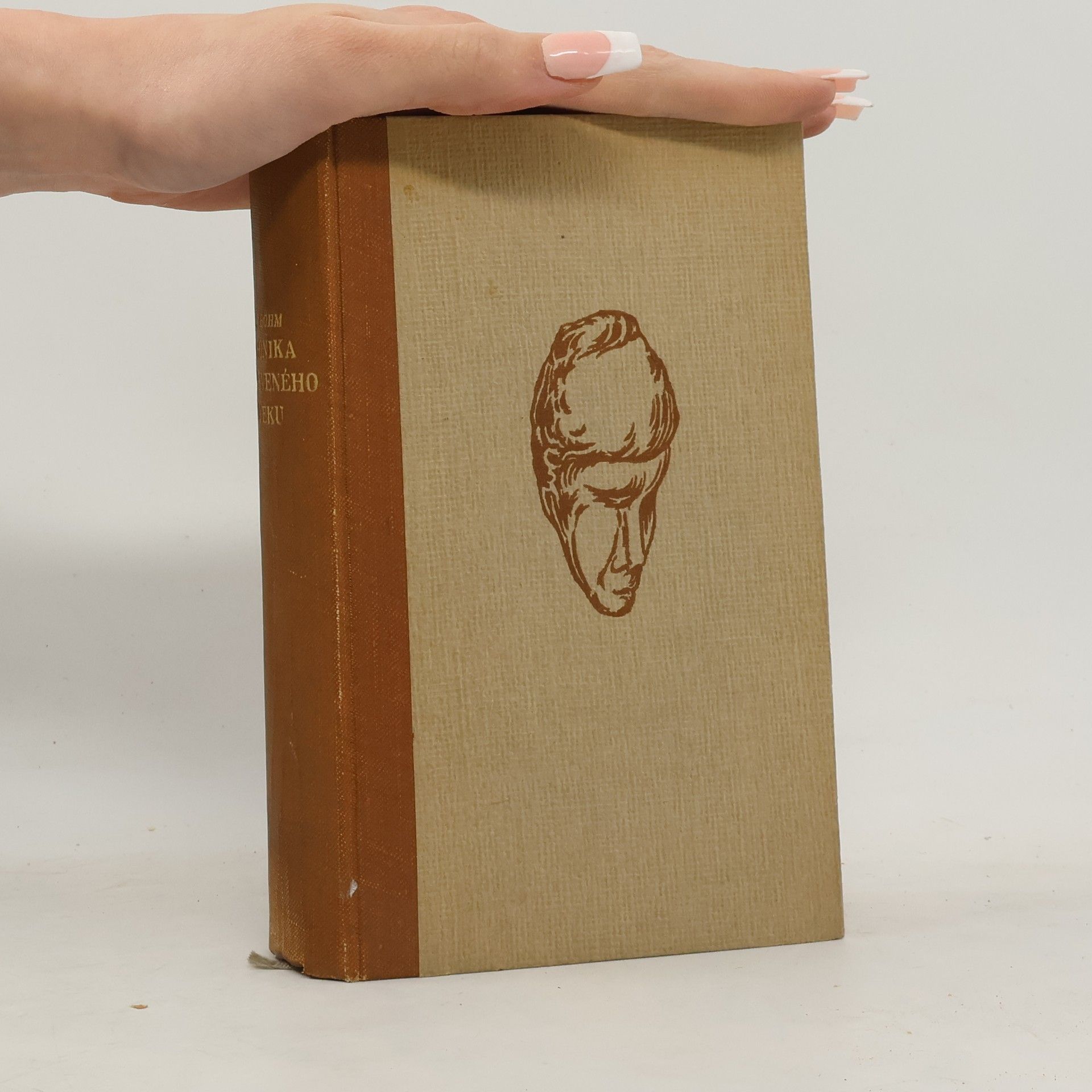 Kronika objeveného věku