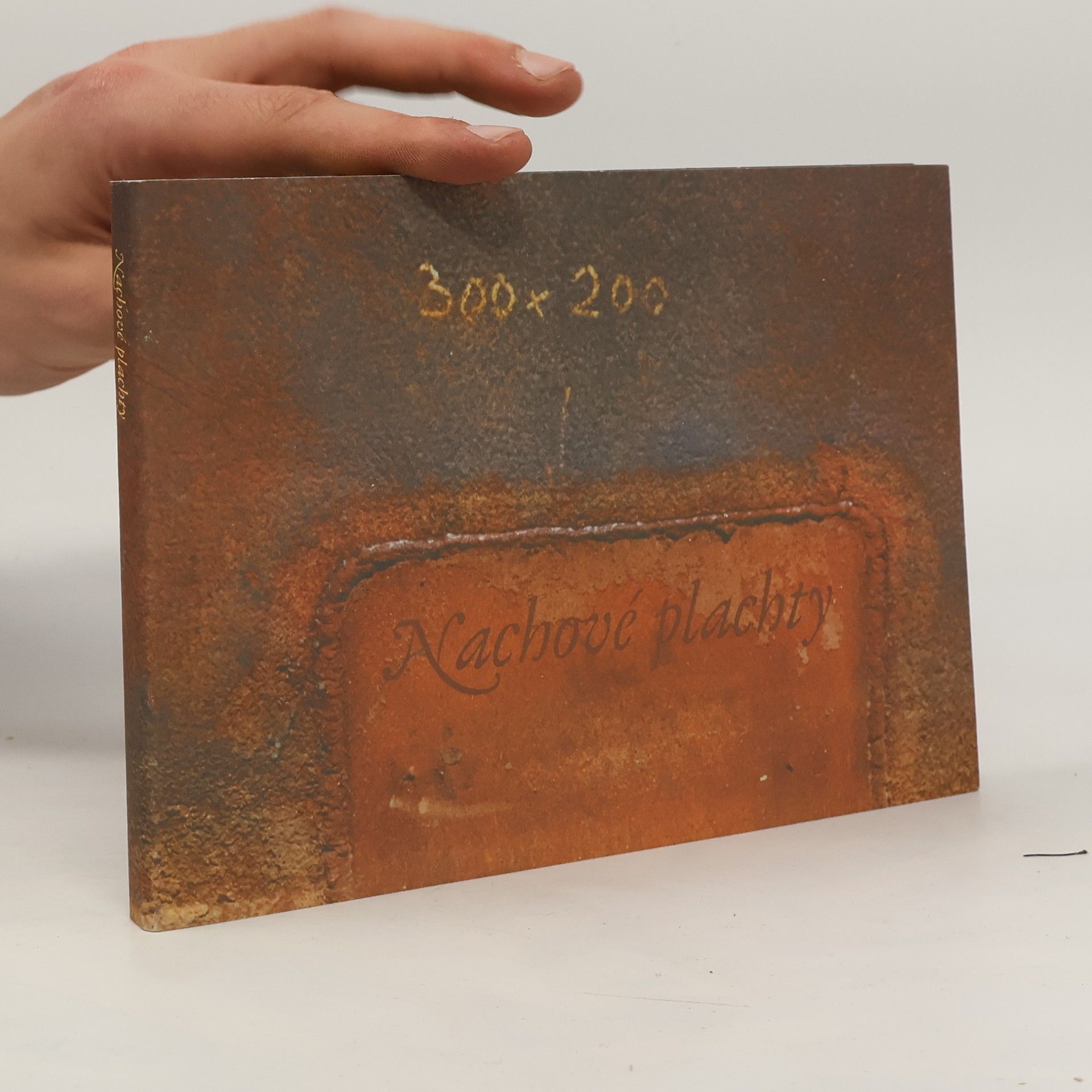 Ivan Arsenjev Nachové plachty